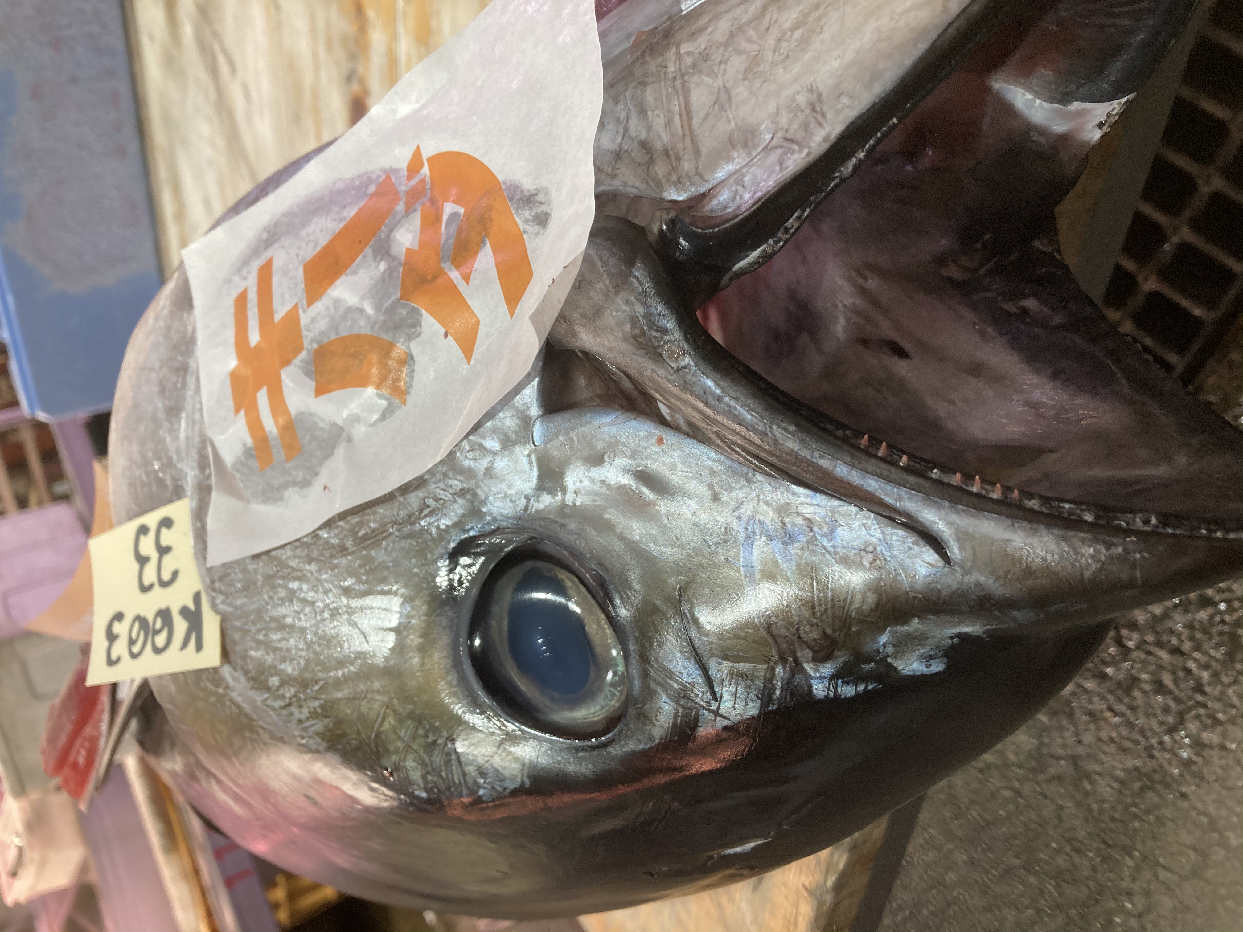大津は滋賀県