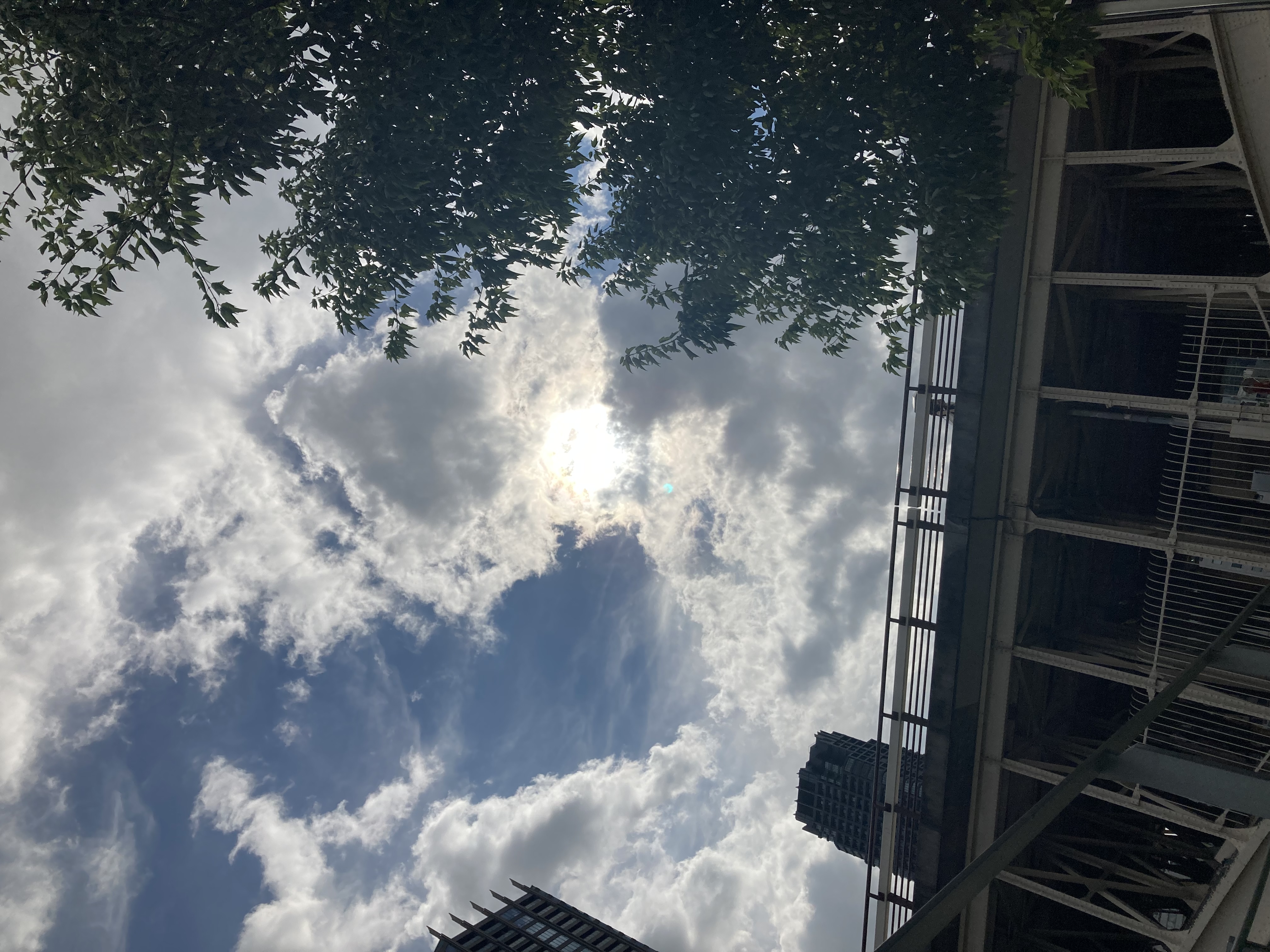 夏の日