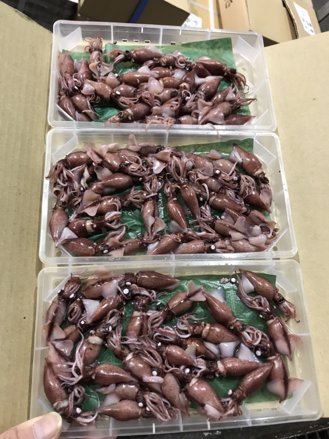 二枚目？