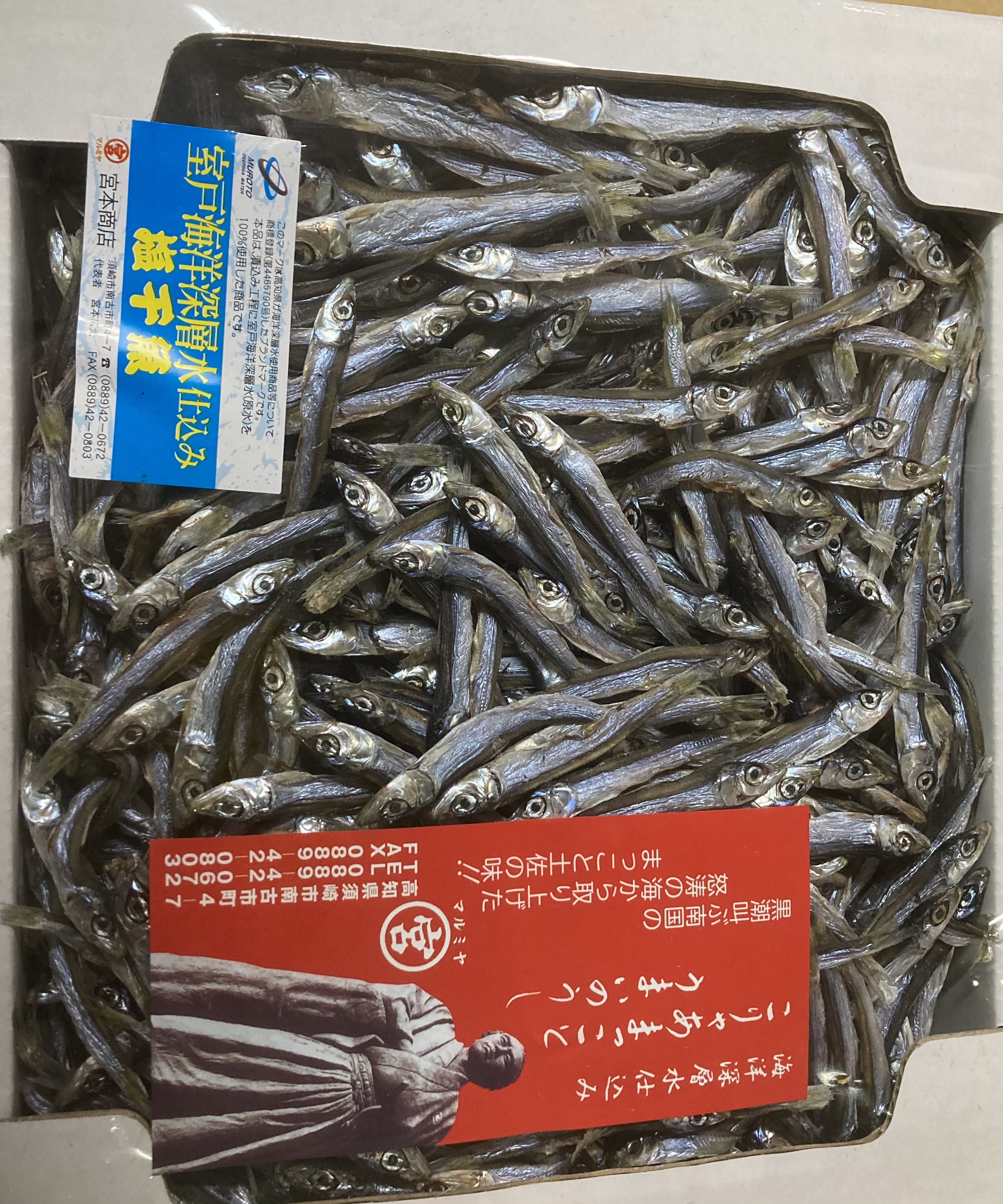 誕生日おめでとう！