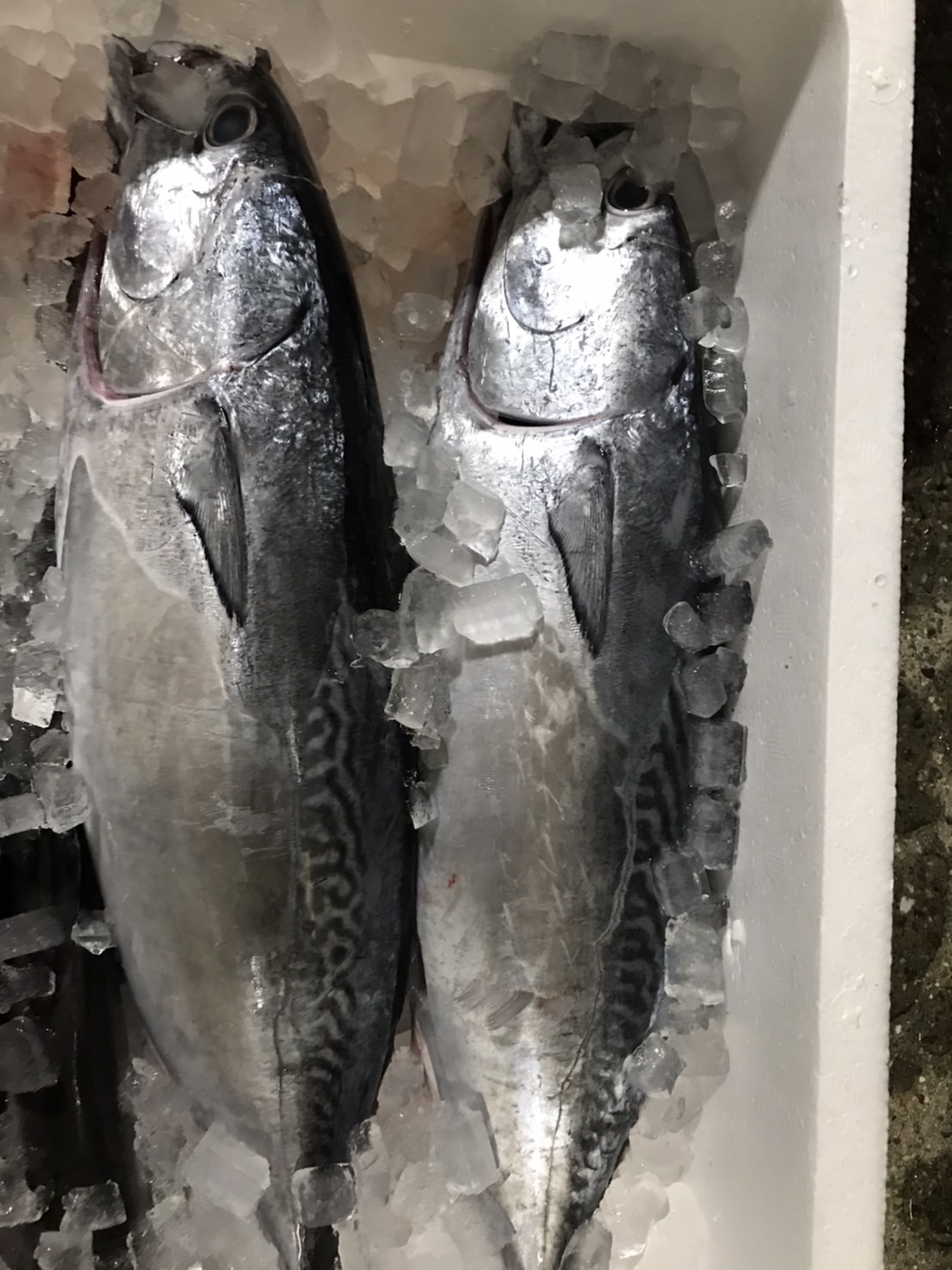 24ですな