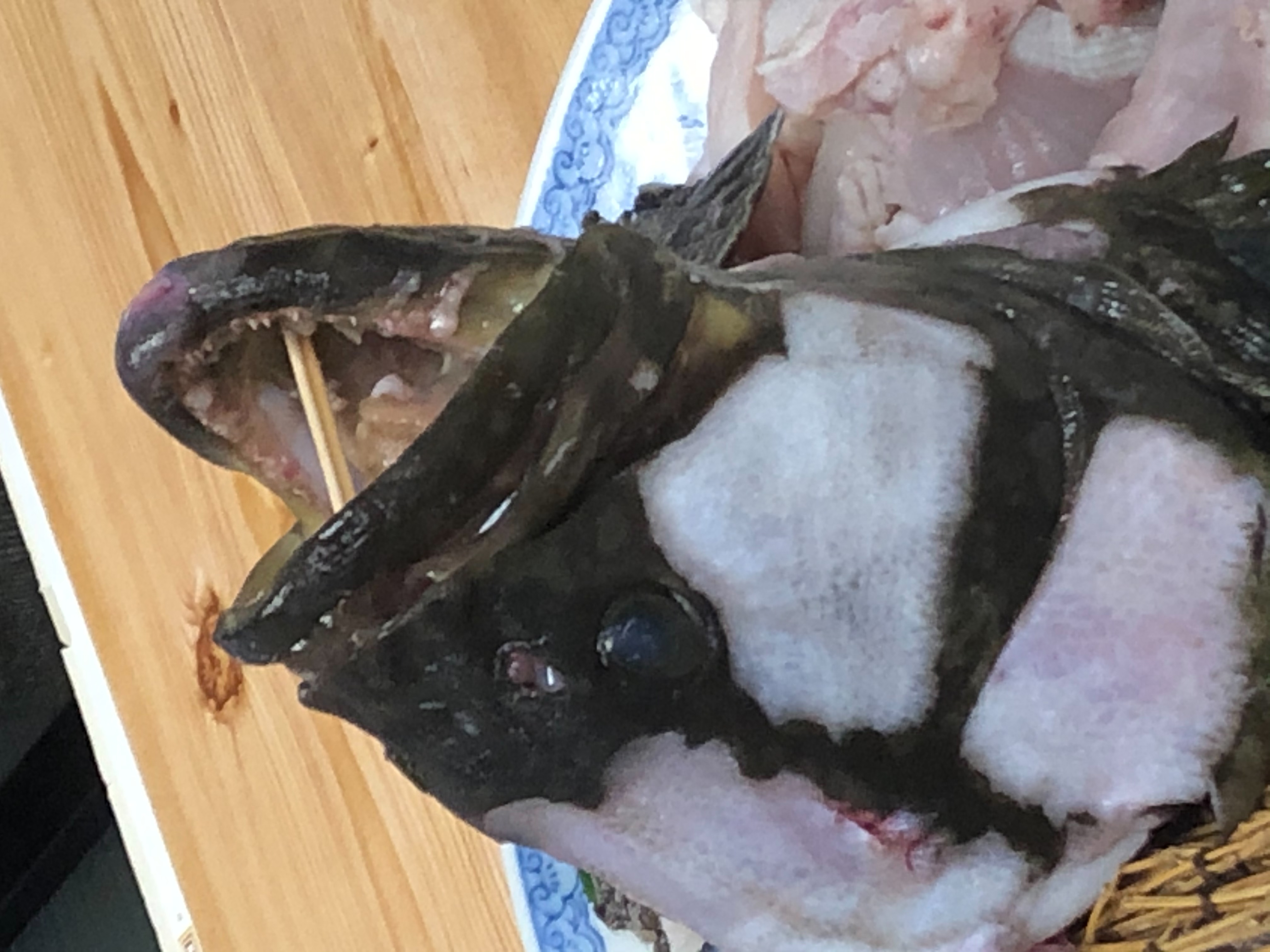 焦らずゆっくり。よく噛んで。