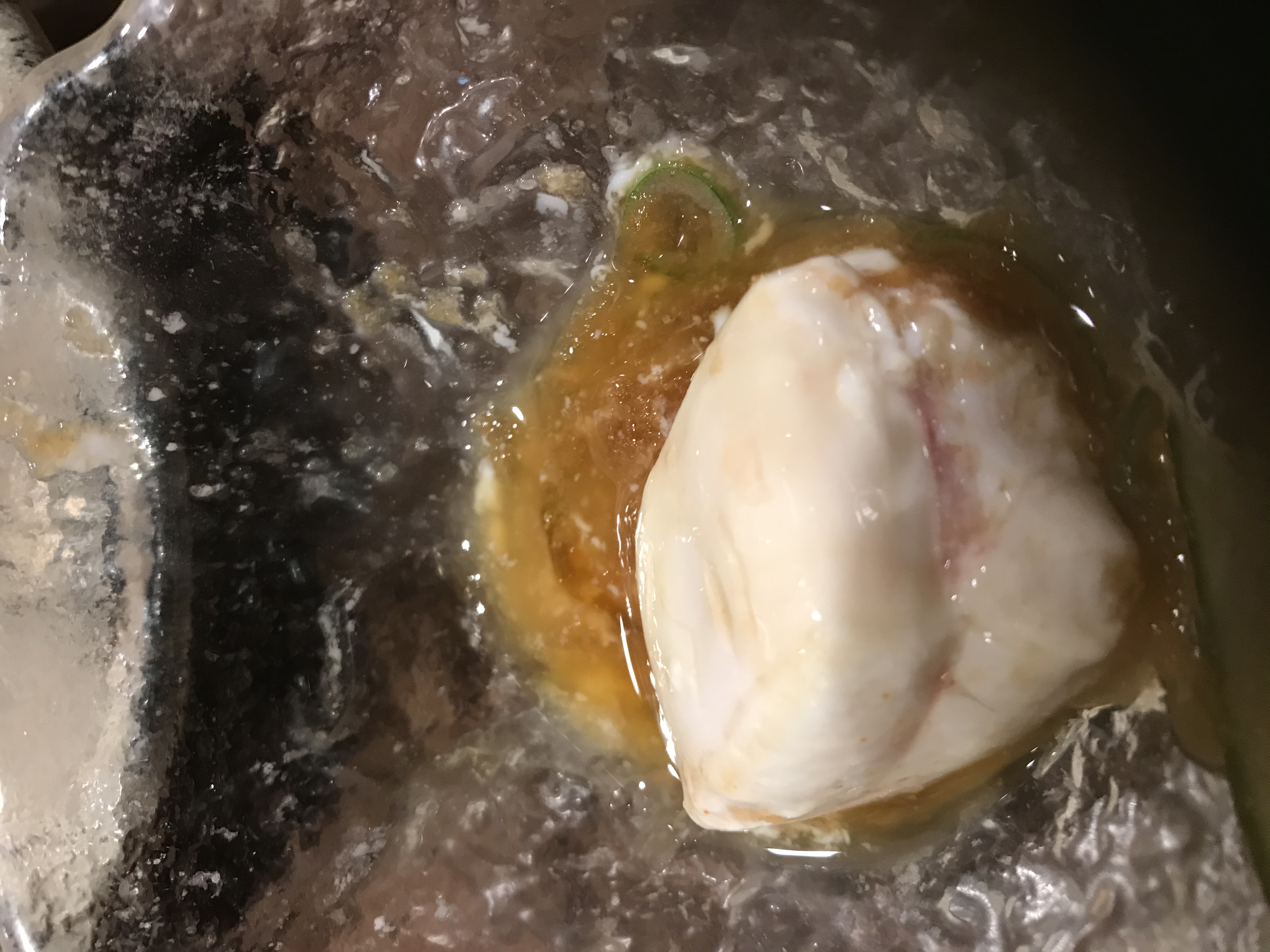 ノストラダムスにこんにちは。