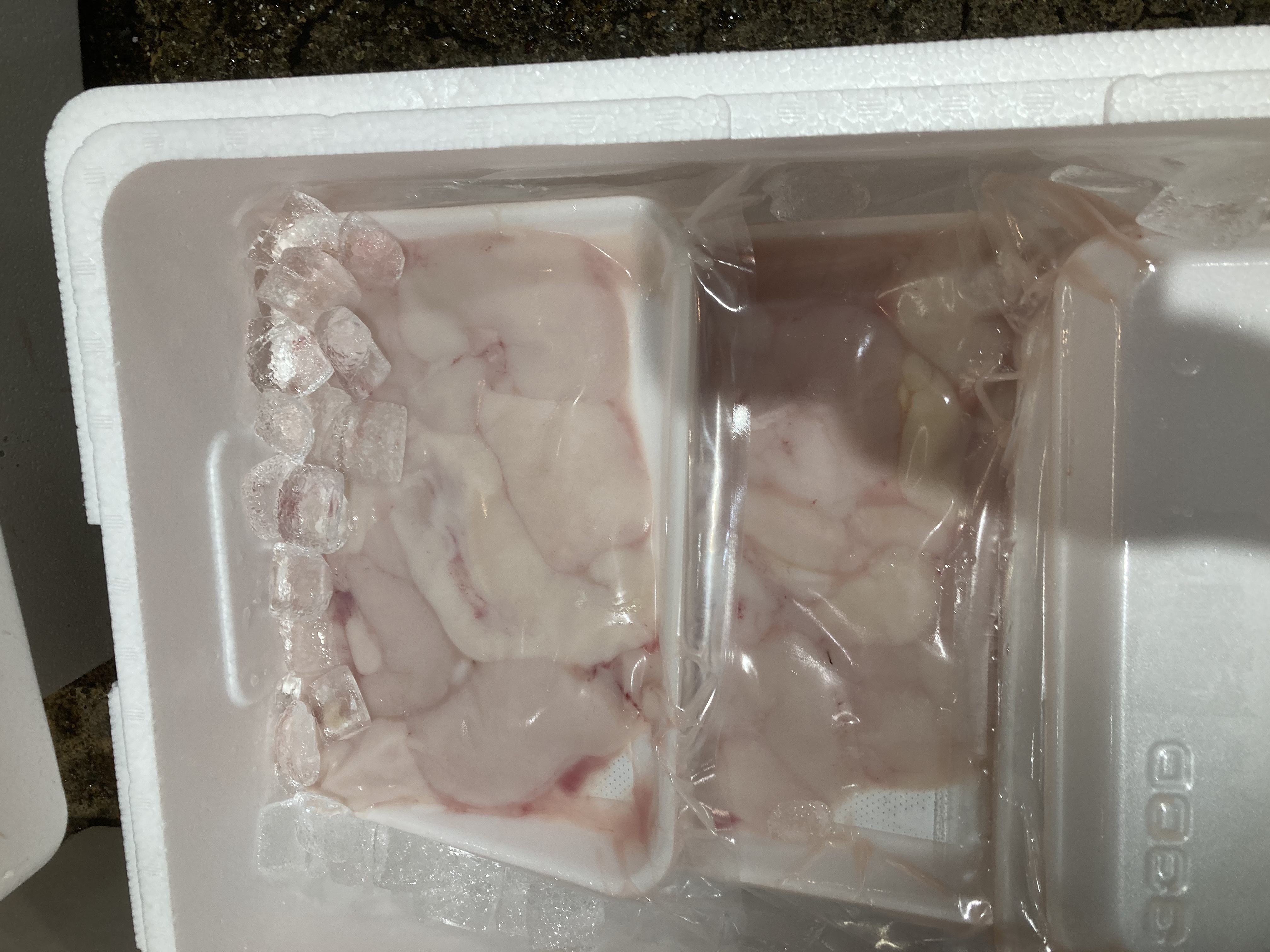 烏賊　蟹