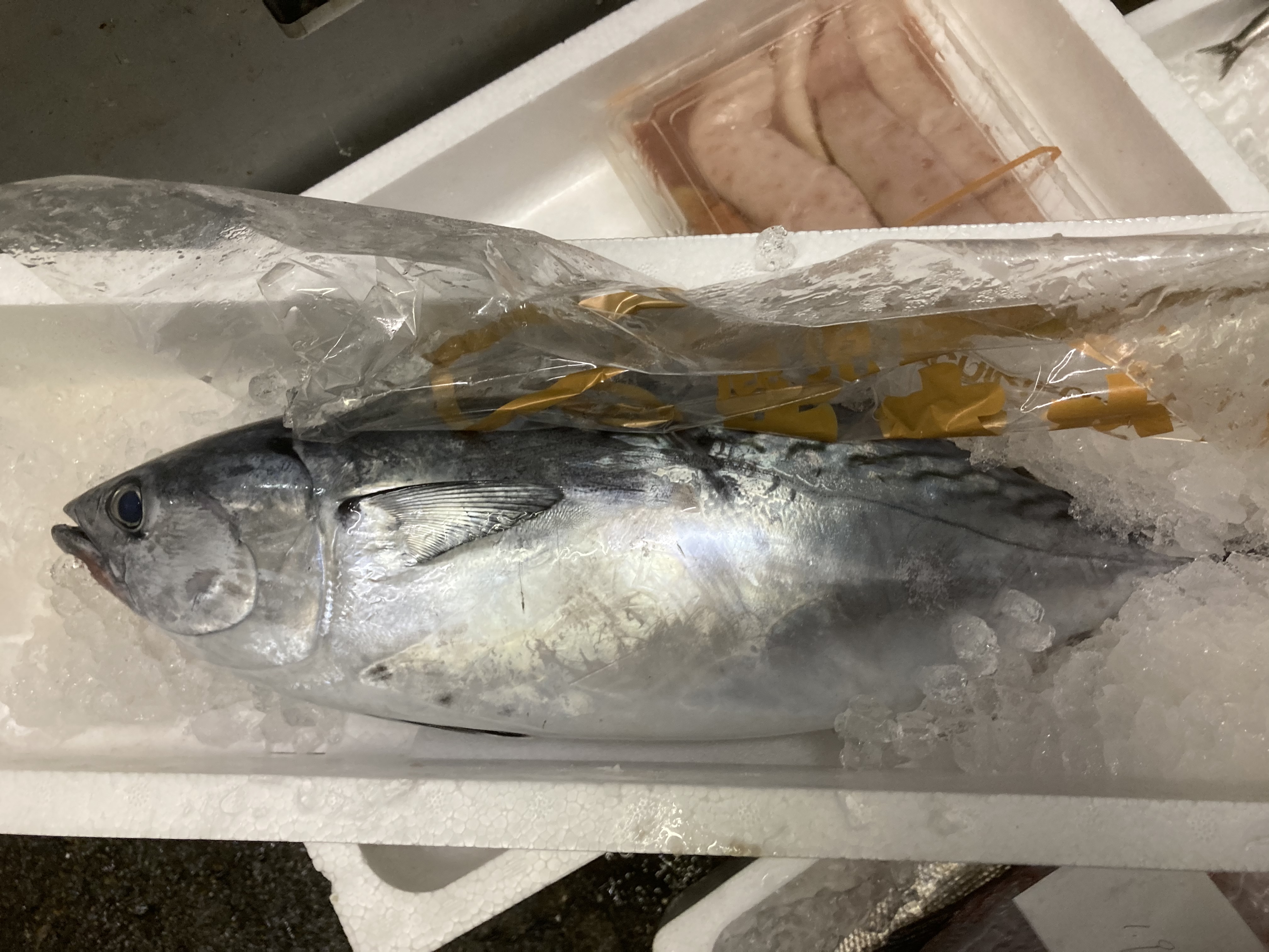 華麗なる