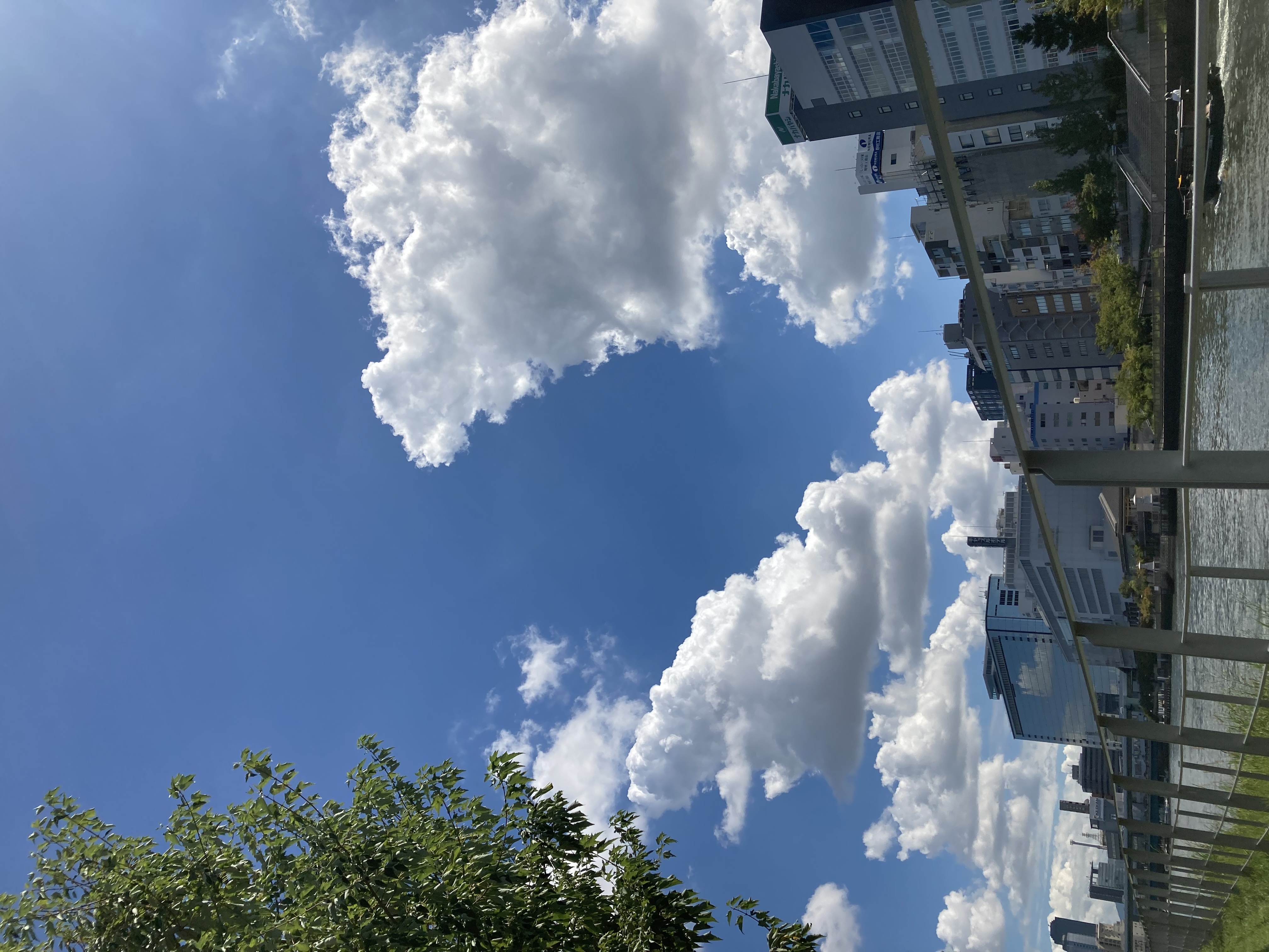 ラモス瑠衣の都市伝説。