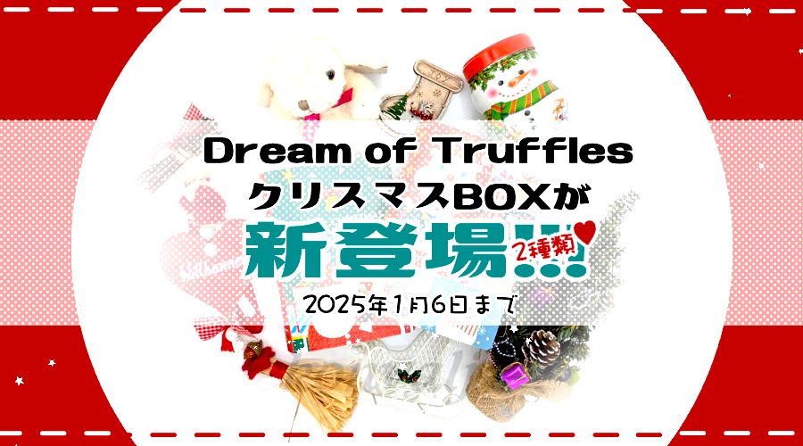 ココアトリュフ・クリスマスBOX新発売・本日より✨
