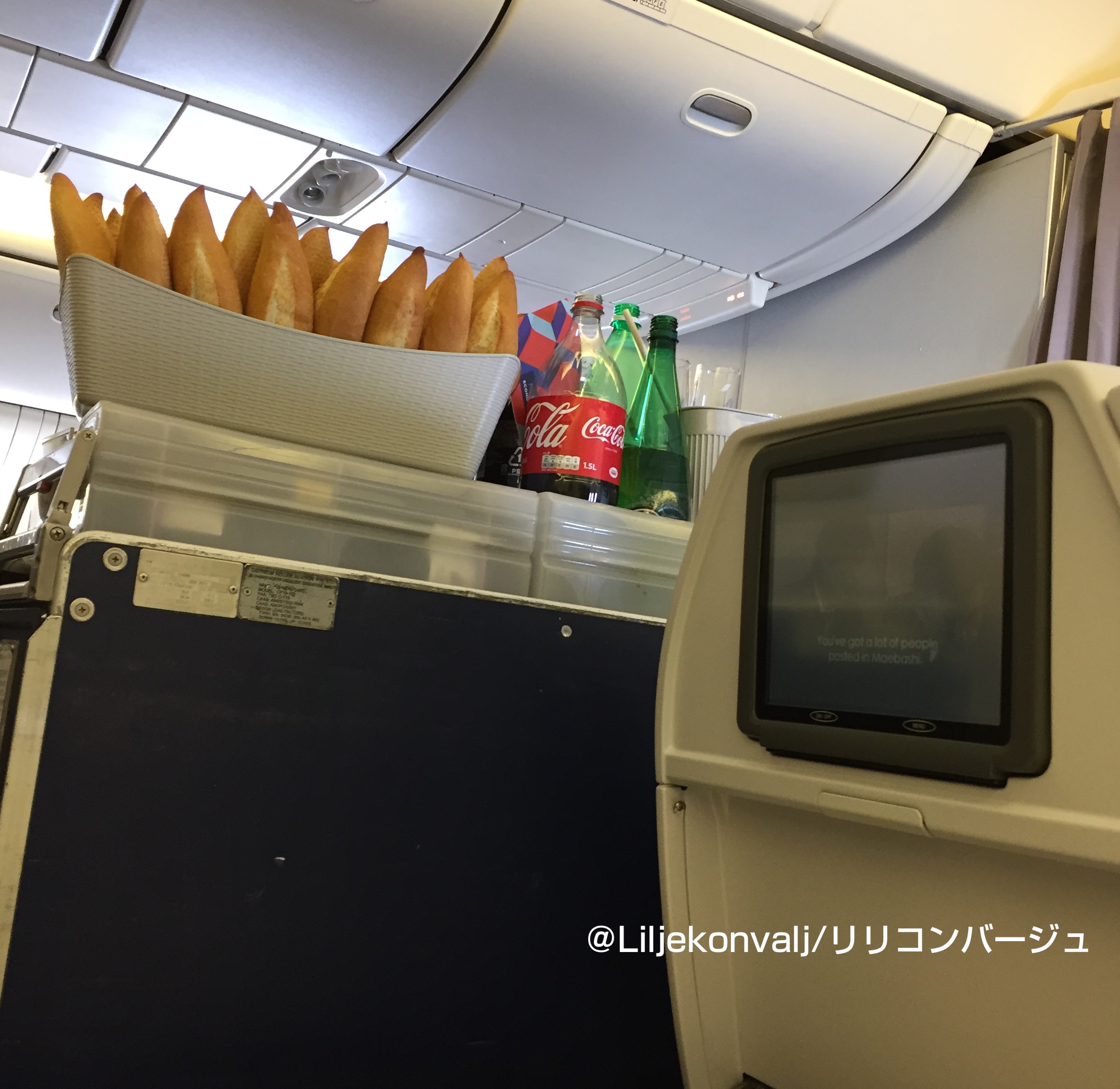 過去の旅：フランスの展示会