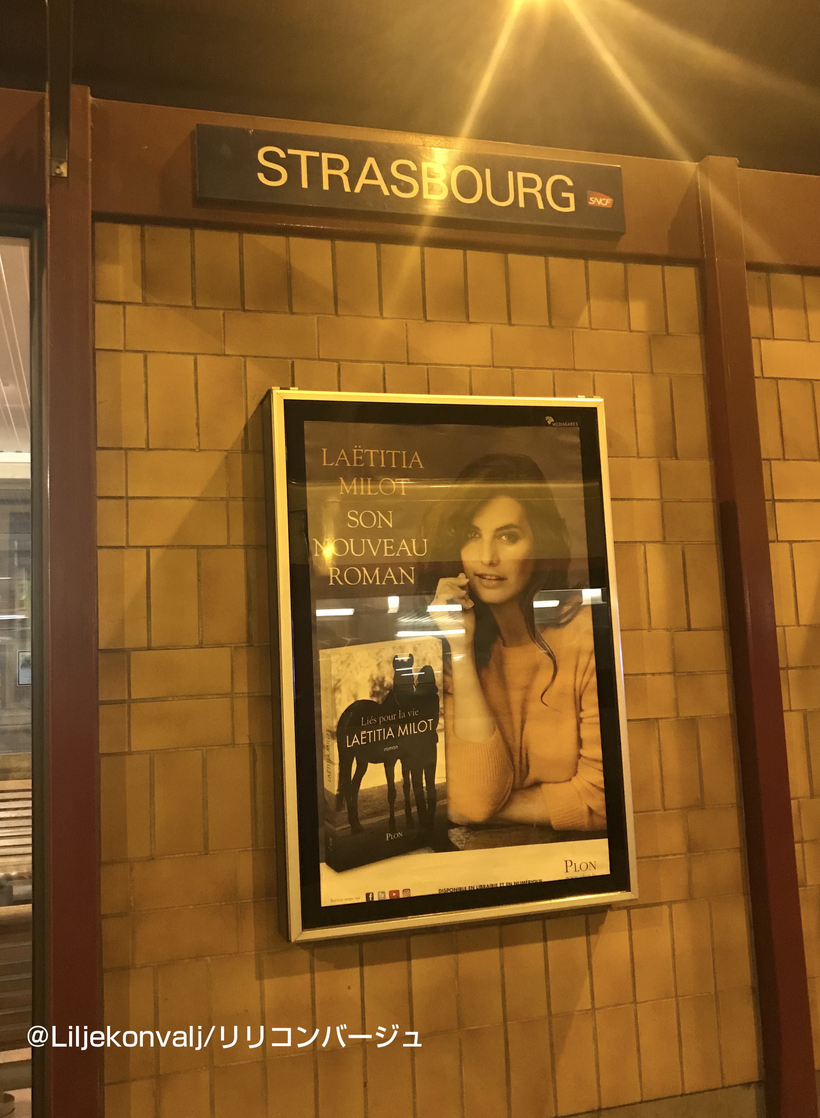 過去の旅：ストラスブール　その１（＋なんちゃってホットワインレシピ）