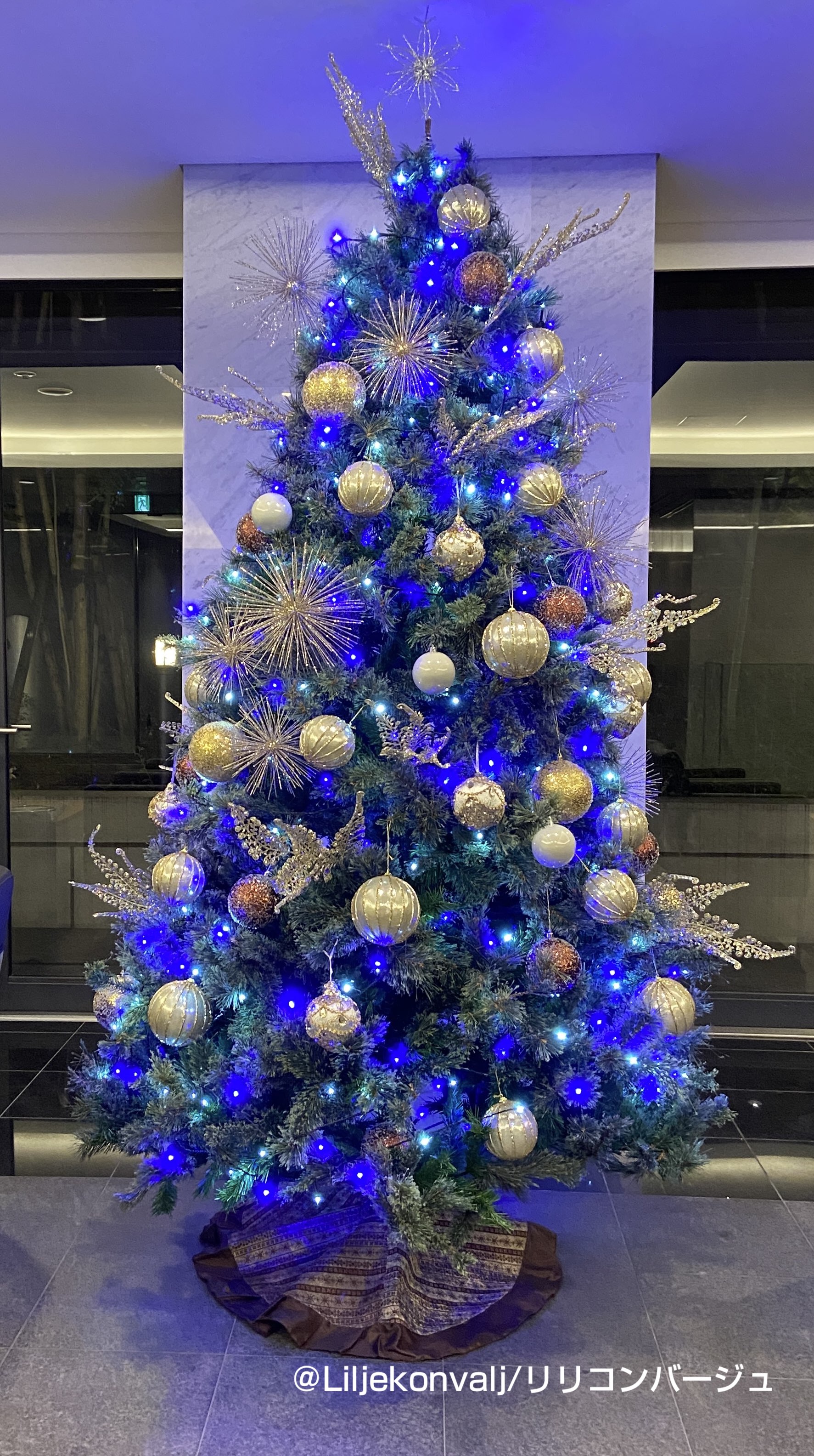クリスマスまであと1ヶ月ちょっと・・・