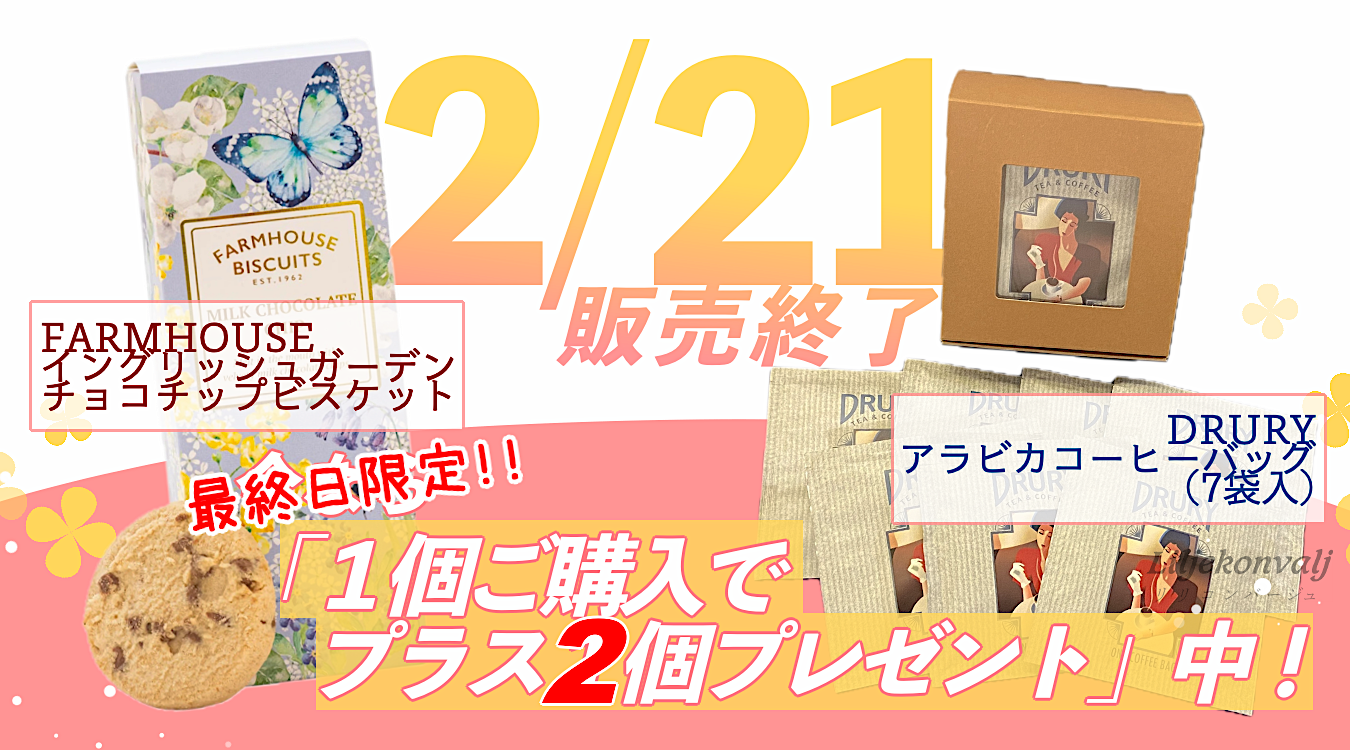 2/21販売終了💦アラビカコーヒーバッグ・チョコチップビスケット