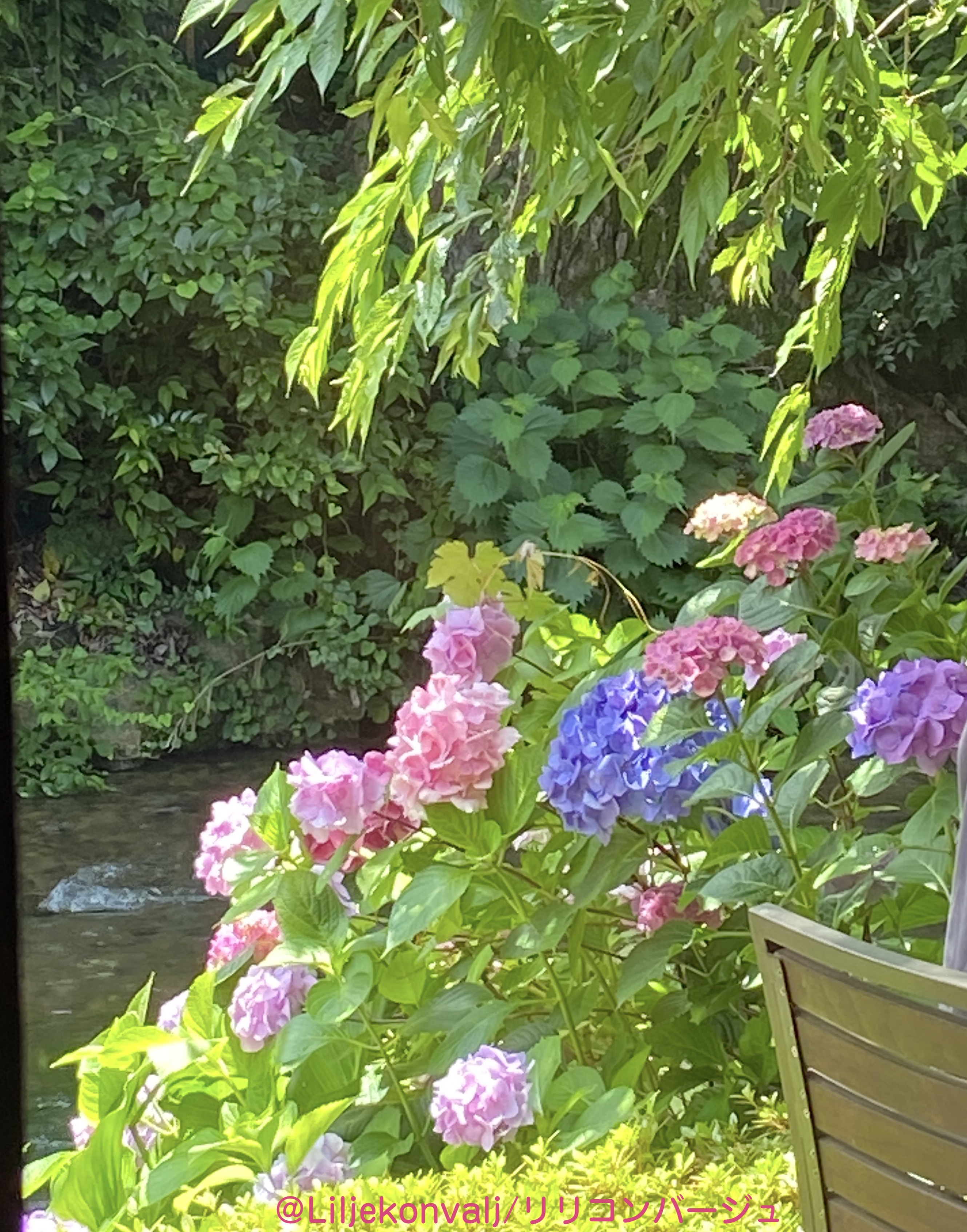 梅雨の中休みも今日まで？