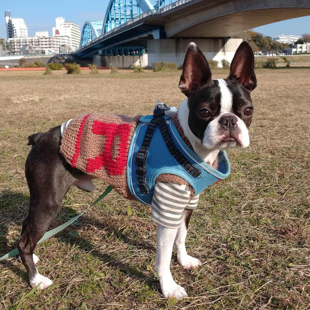 イニシャルセーター モカブラウン♪