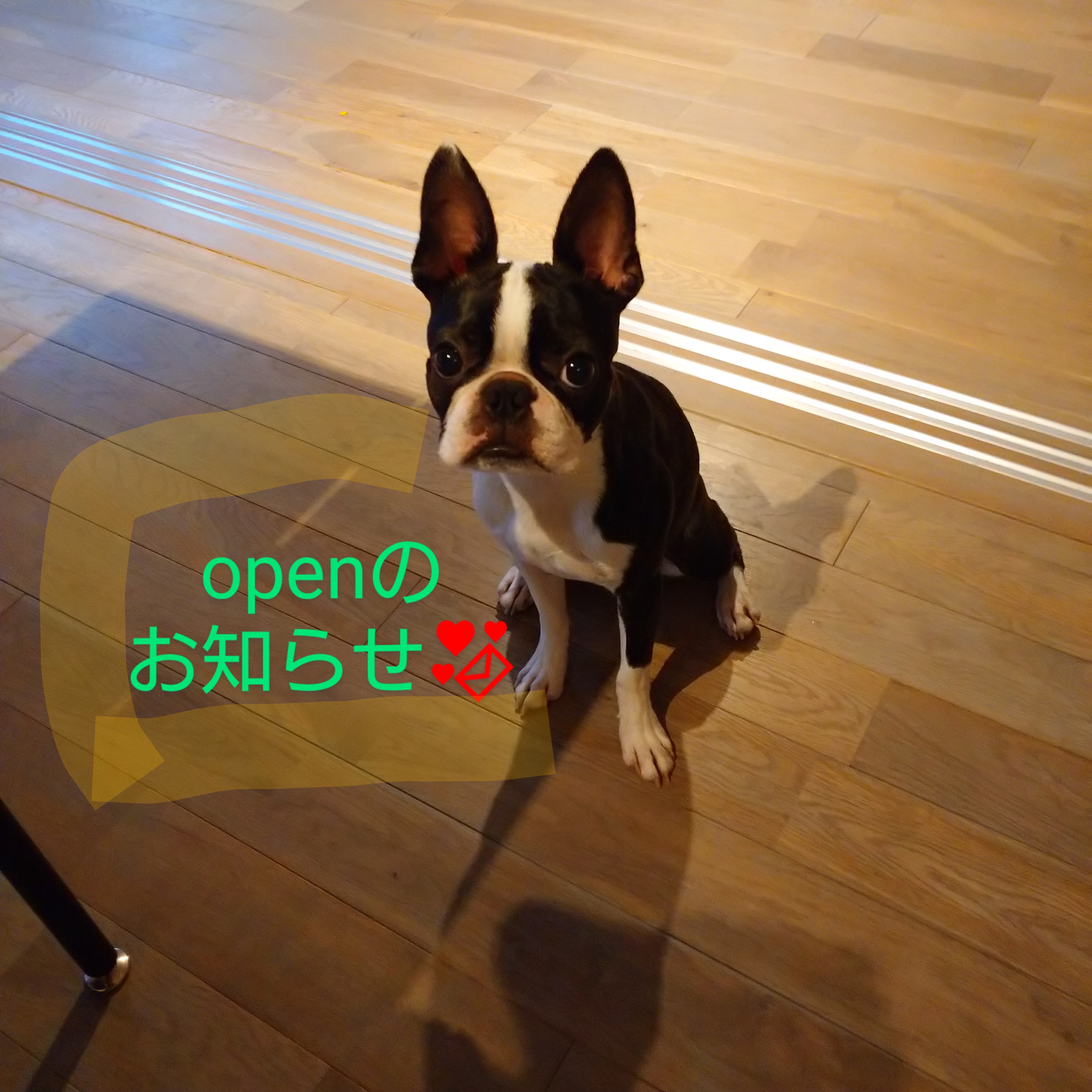 8/15(土) 18:00～ カート オープンします‼️