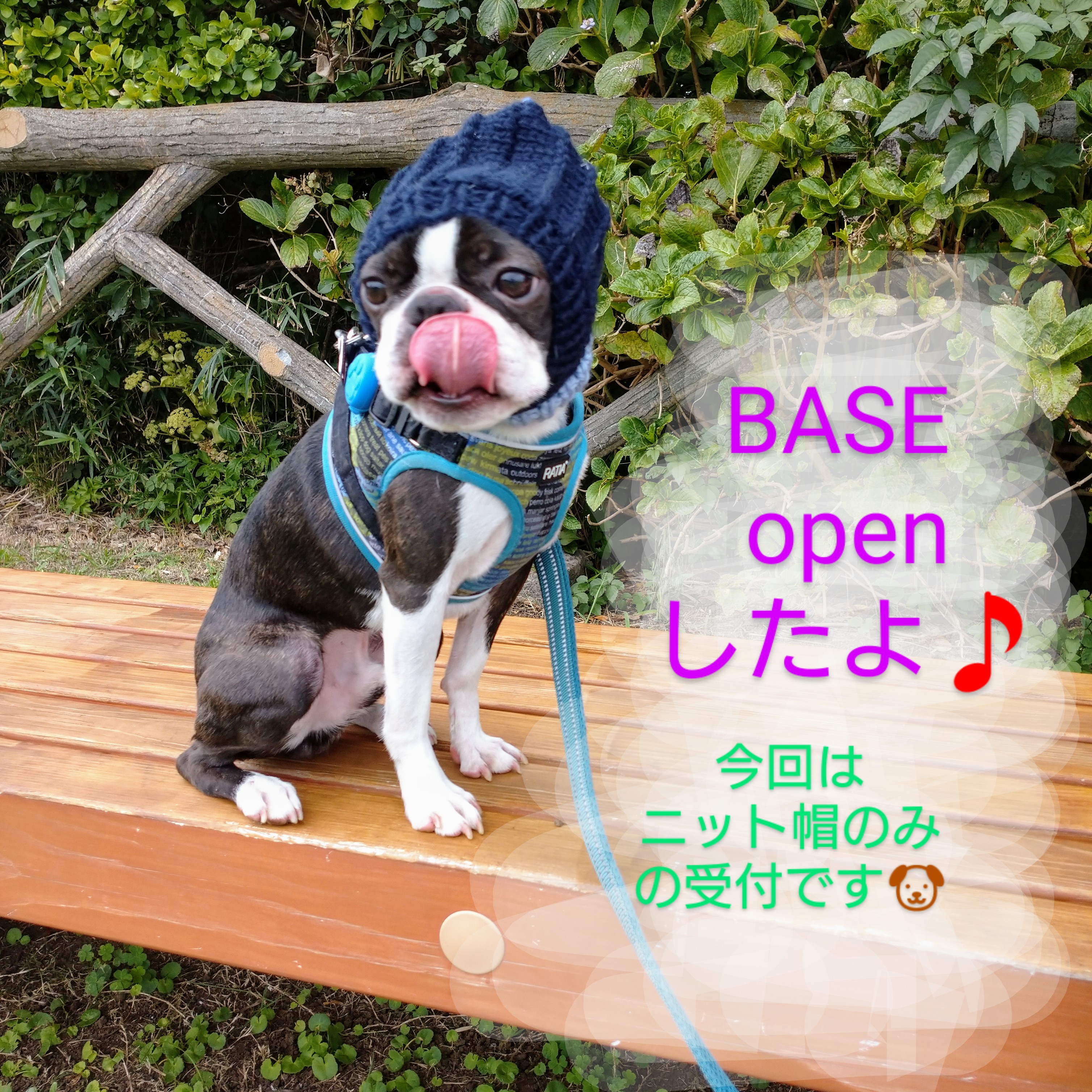 ニット帽 オーダー開始しました！
