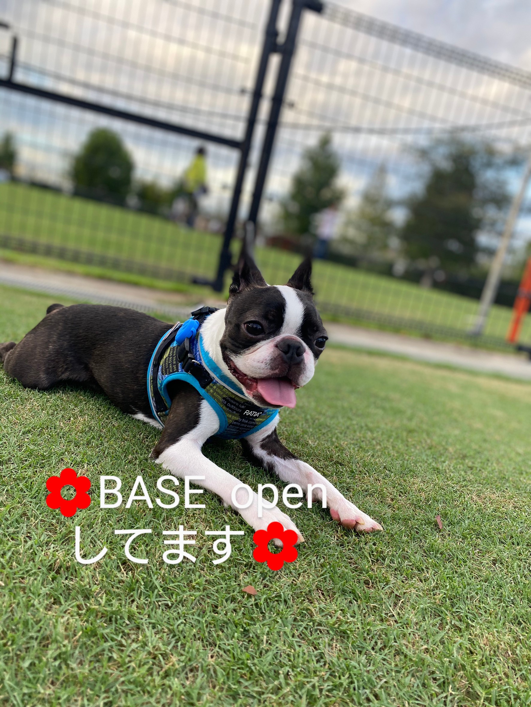3日間限定オープンしてます！