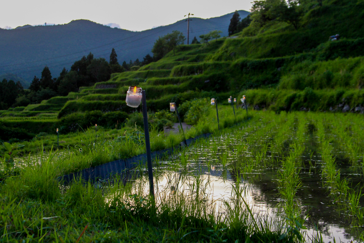三重県お土産観光ナビONLINESHOPを開設しました。