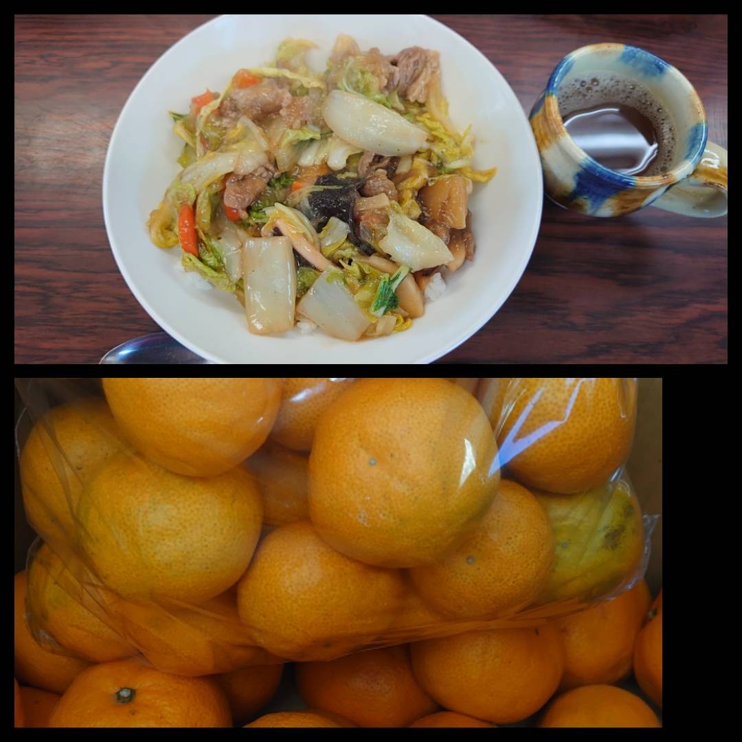 今日の”梅皿メシ”