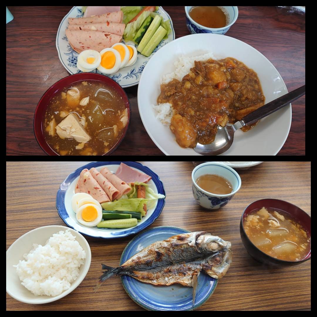 今日の”梅皿メシ”