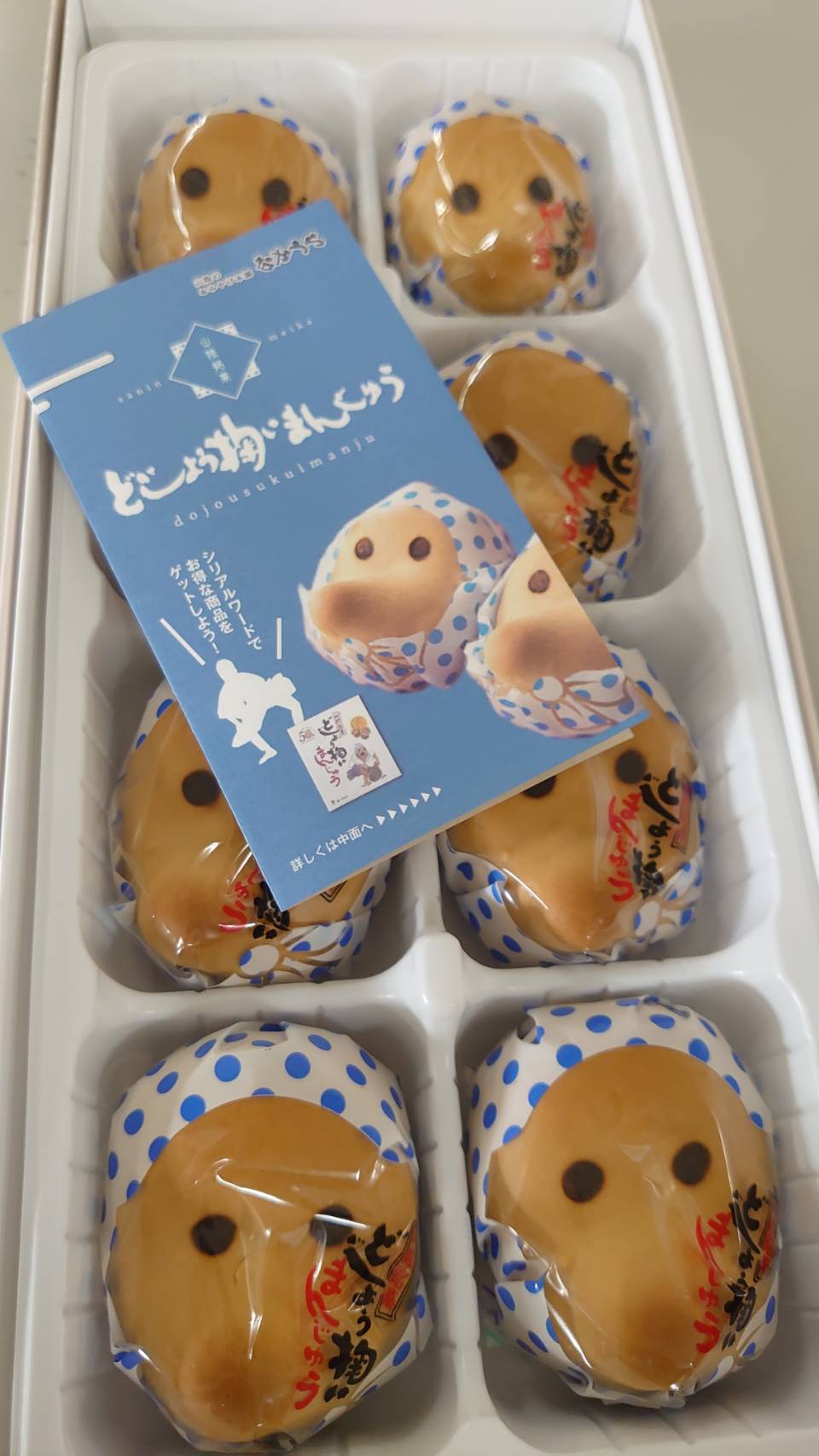 梅スタティータイム