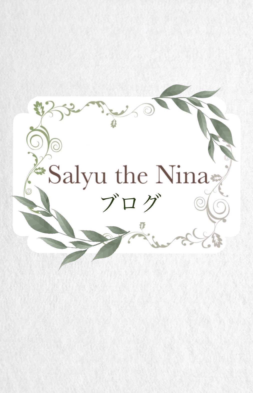☆*:.｡..｡.:*☆Salyu the Ninaの商品ブログ☆*:.｡..｡.:*☆