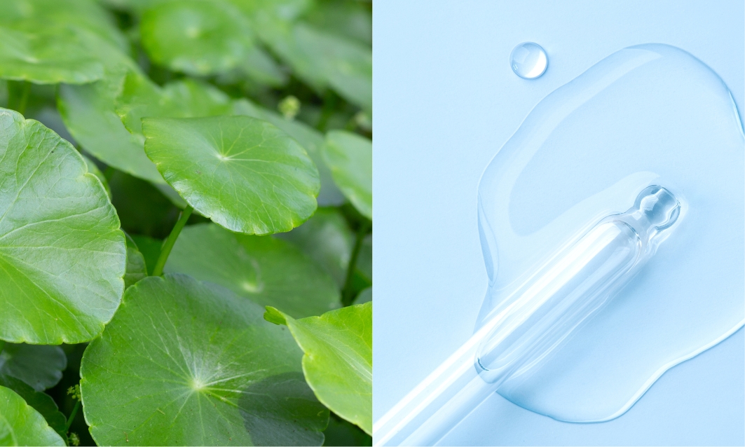 CICA vs 馬セラミド|保湿力と肌へのなじみを徹底比較