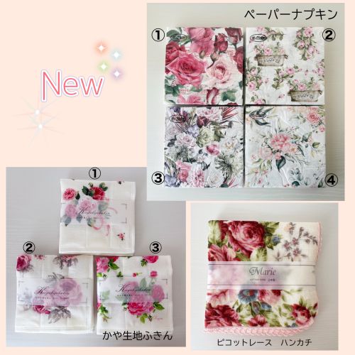 2025/2/24　「新着情報＆ご報告とお礼」　Roses mapたより