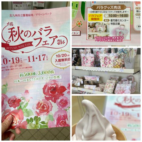 2024/11/1　「秋のバラフェア＆バラグッズ売店に行ってきました」　Roses mapたより