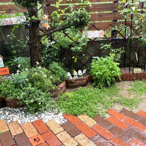BLOG　2024/7/1　「雨・雨・雨・・・」　Roses mapたより