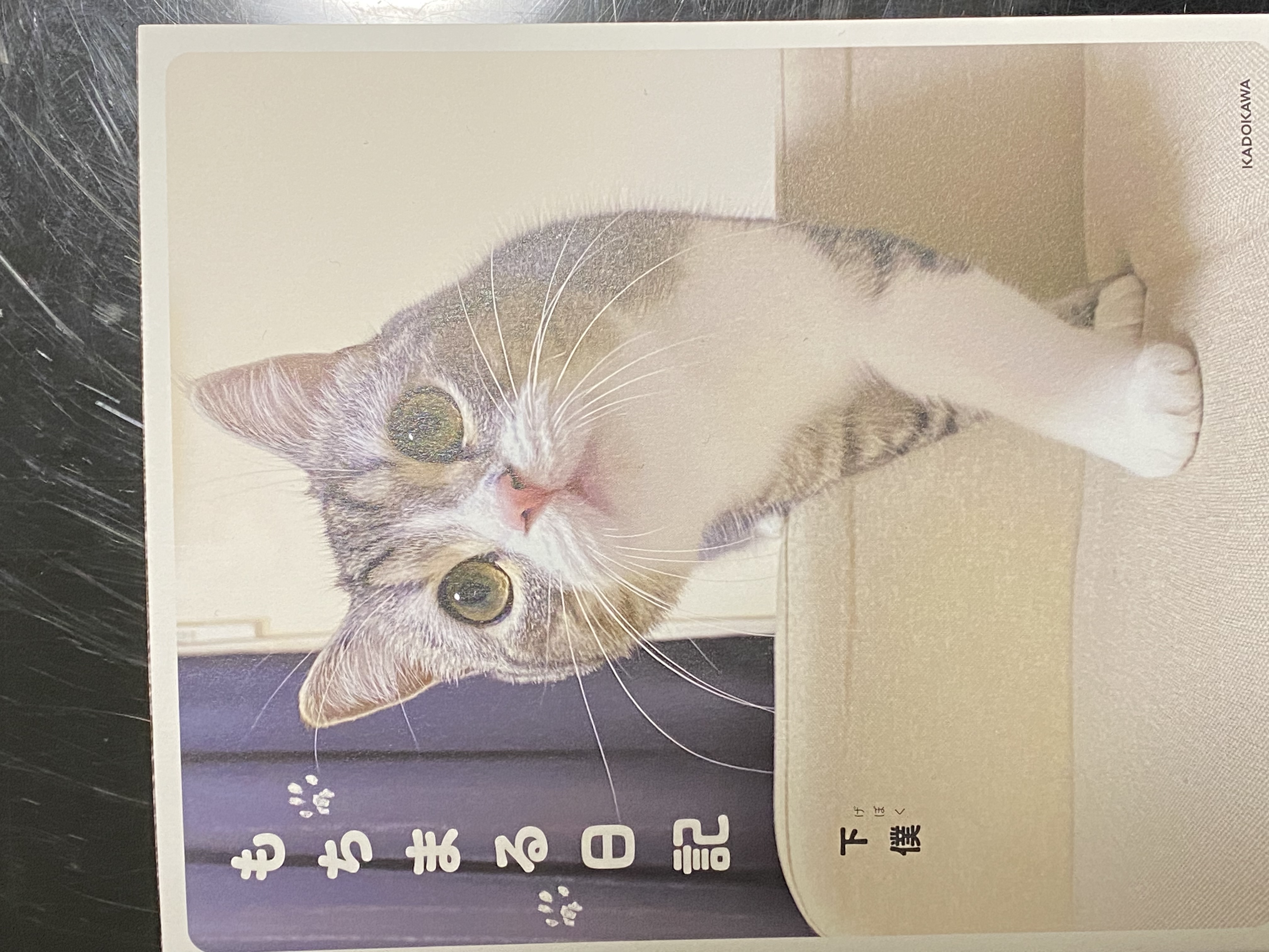 <(_ _)>〈 ｺﾞﾝ!〕