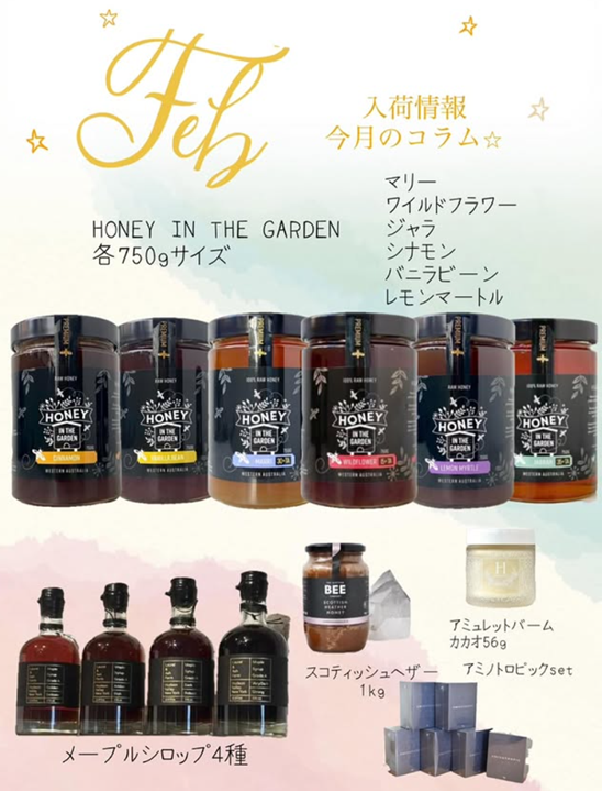 入荷情報、今月のコラム