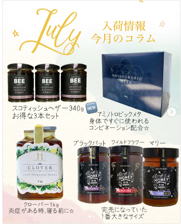 入荷情報、今月のコラム
