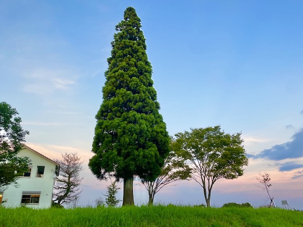 鎌倉から九州への移住