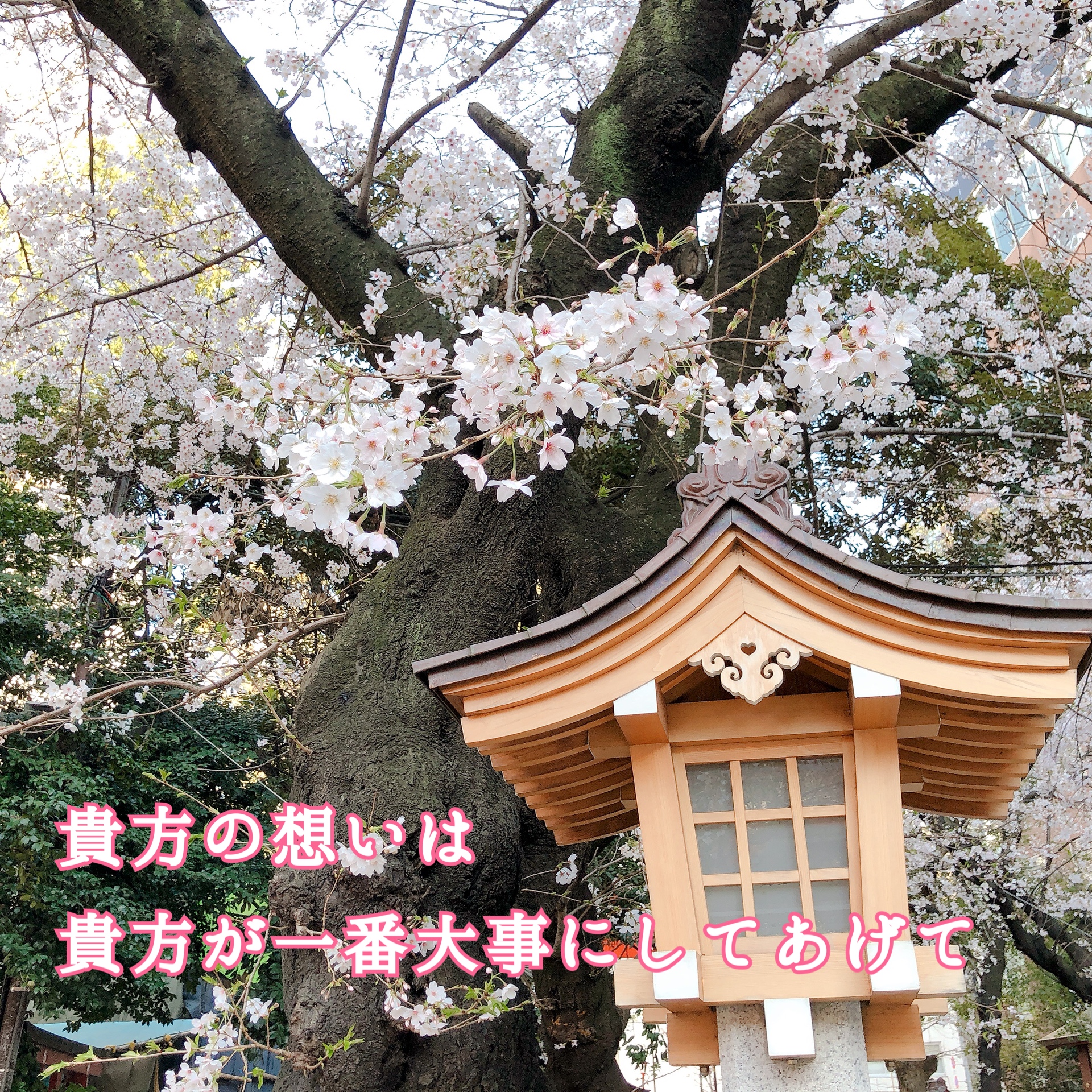 貴方は何を求める？