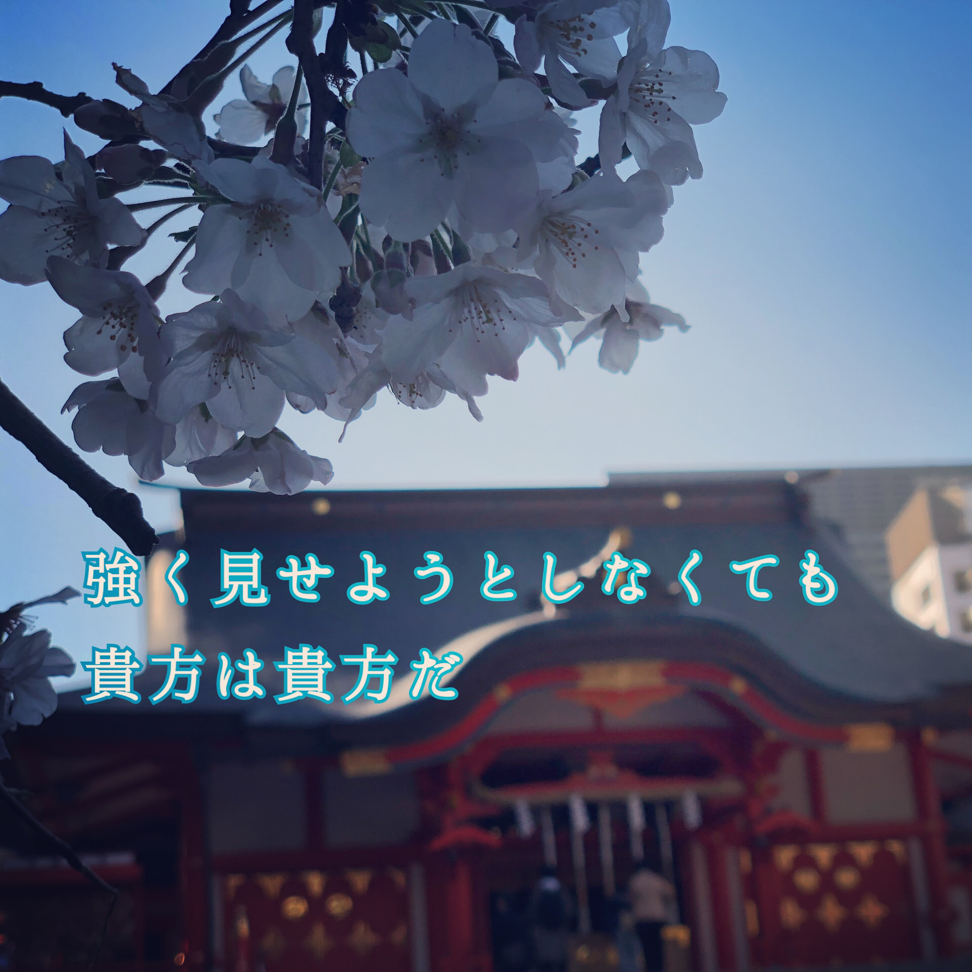強く見せようとしなくて良い