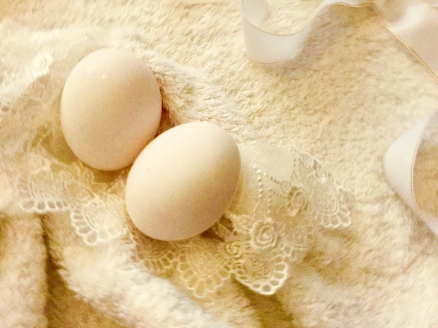どんな気分でもいいよ