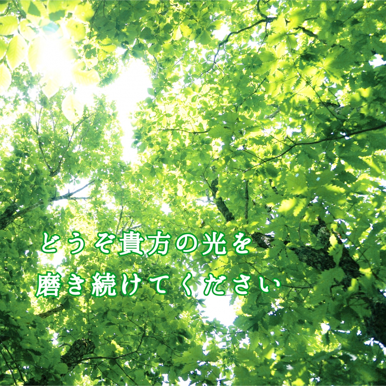 貴方は輝いている