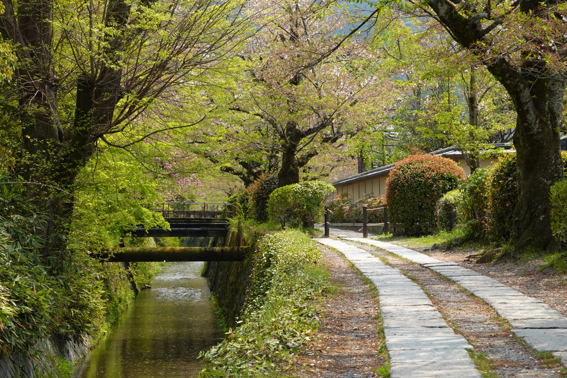 理由にする？言い訳にする？