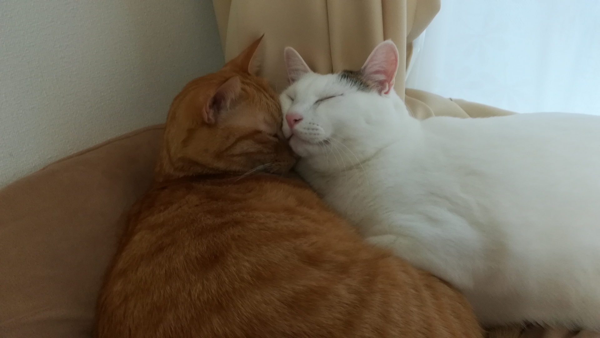 よく頑張ってるよ