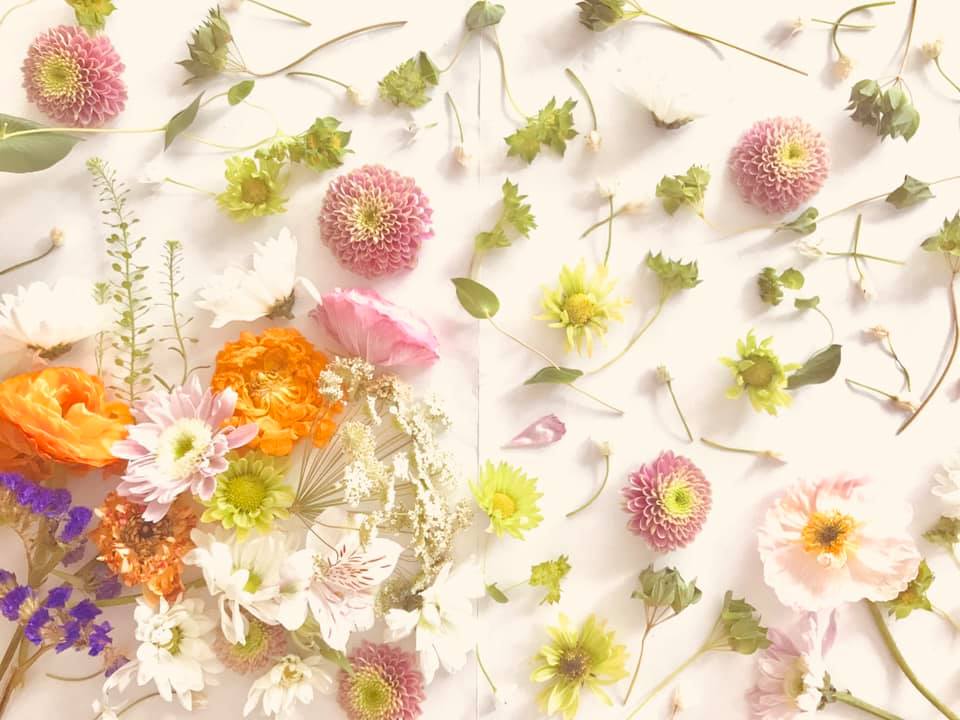 今までだってやれてこれたでしょ？