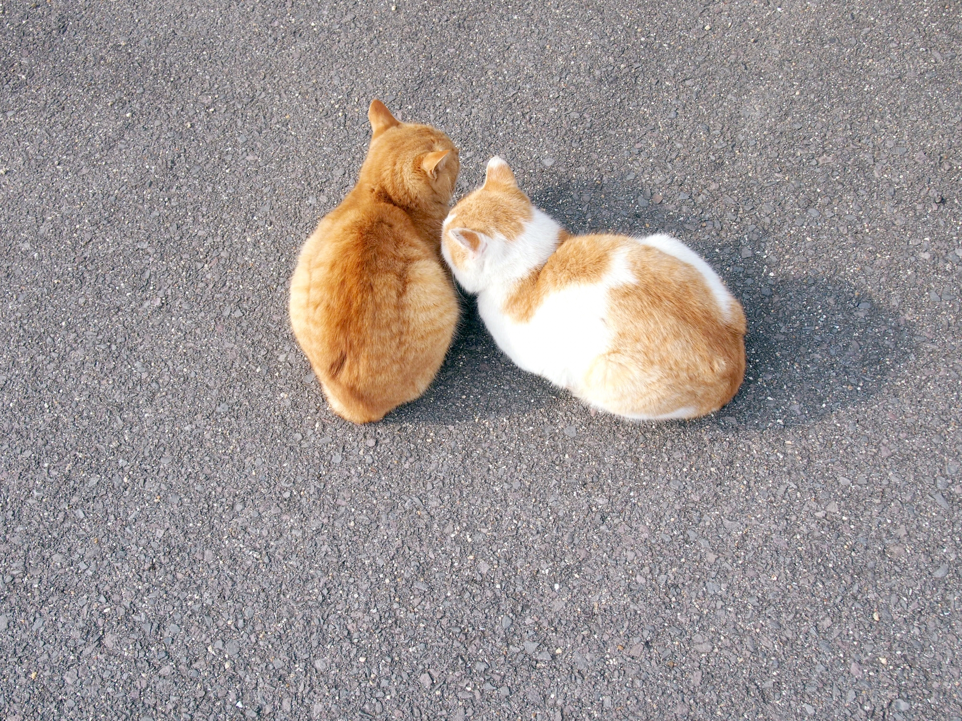 不安は大きくなっちゃう