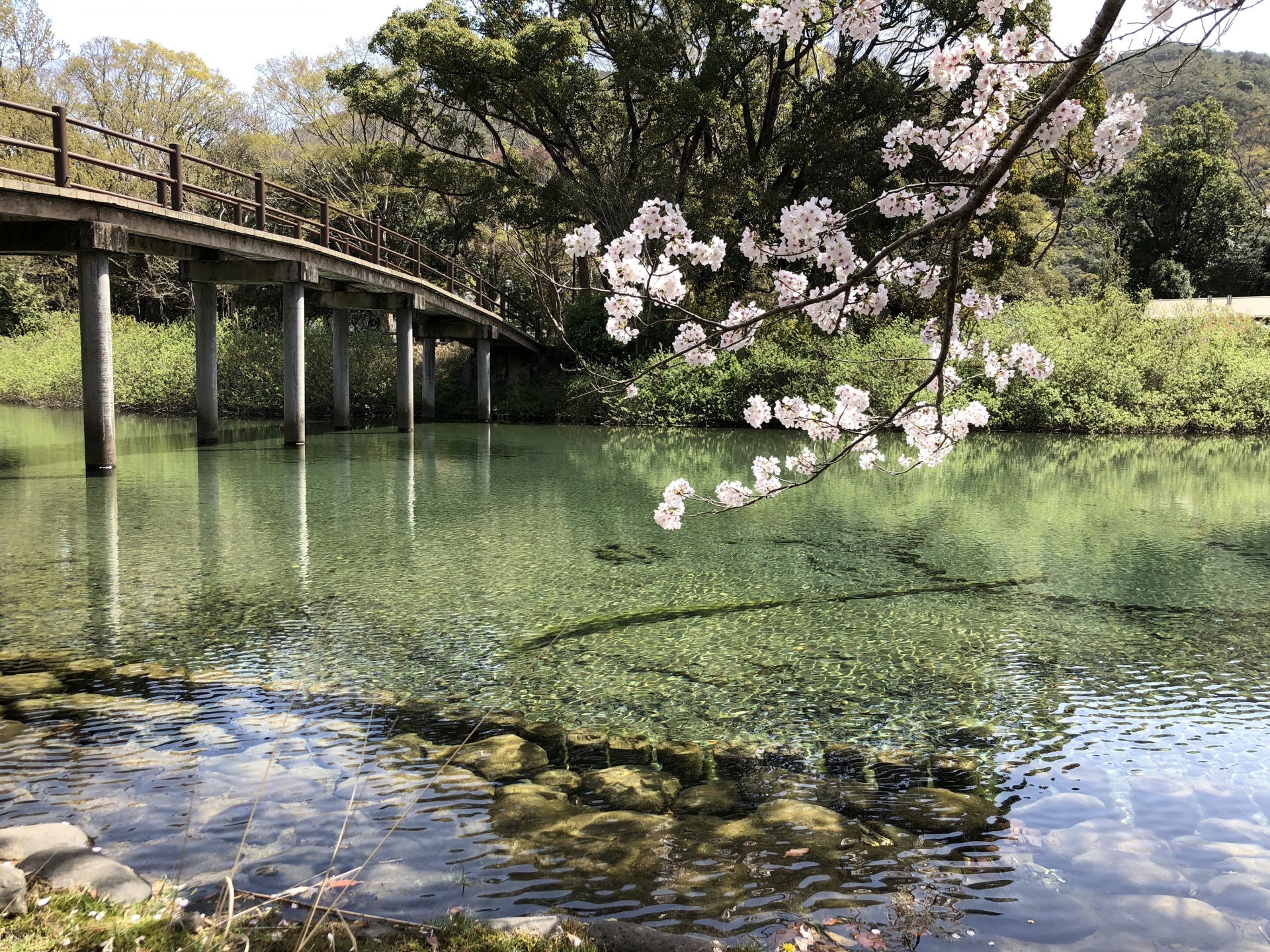 貴方のために