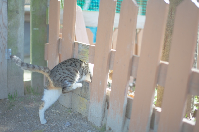 もっと肩の力を抜いて