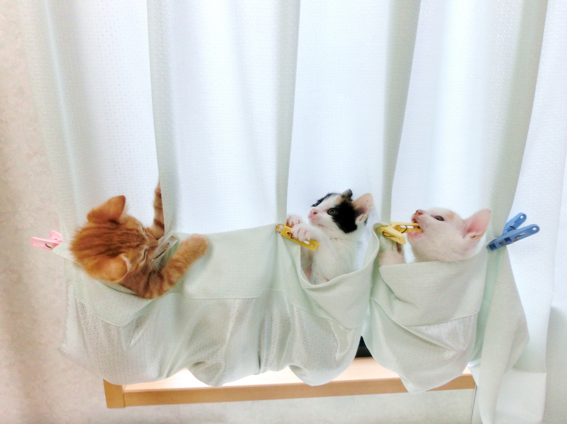 貴方の場所で