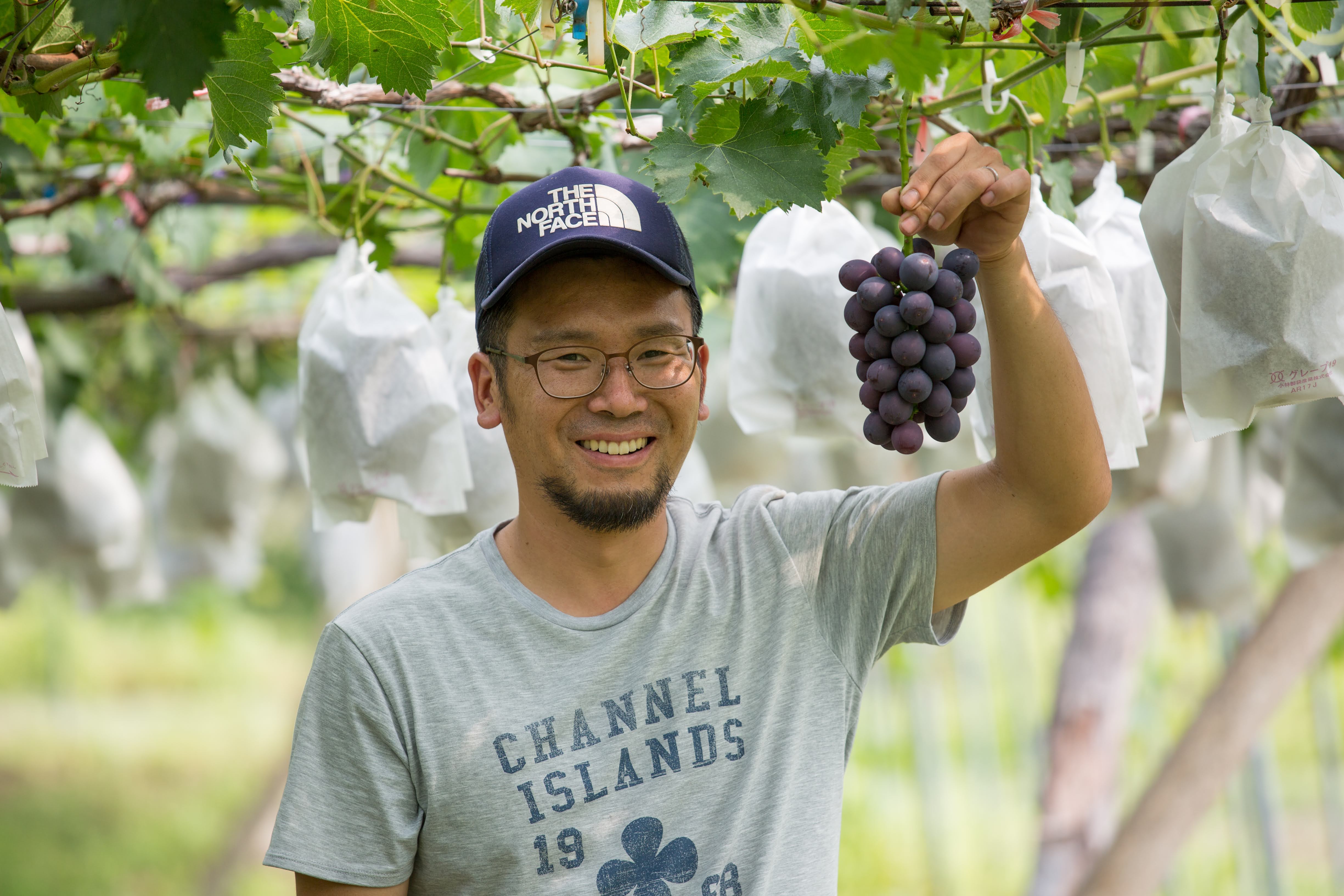 生産者紹介②　吉田学さん（ぶどう）