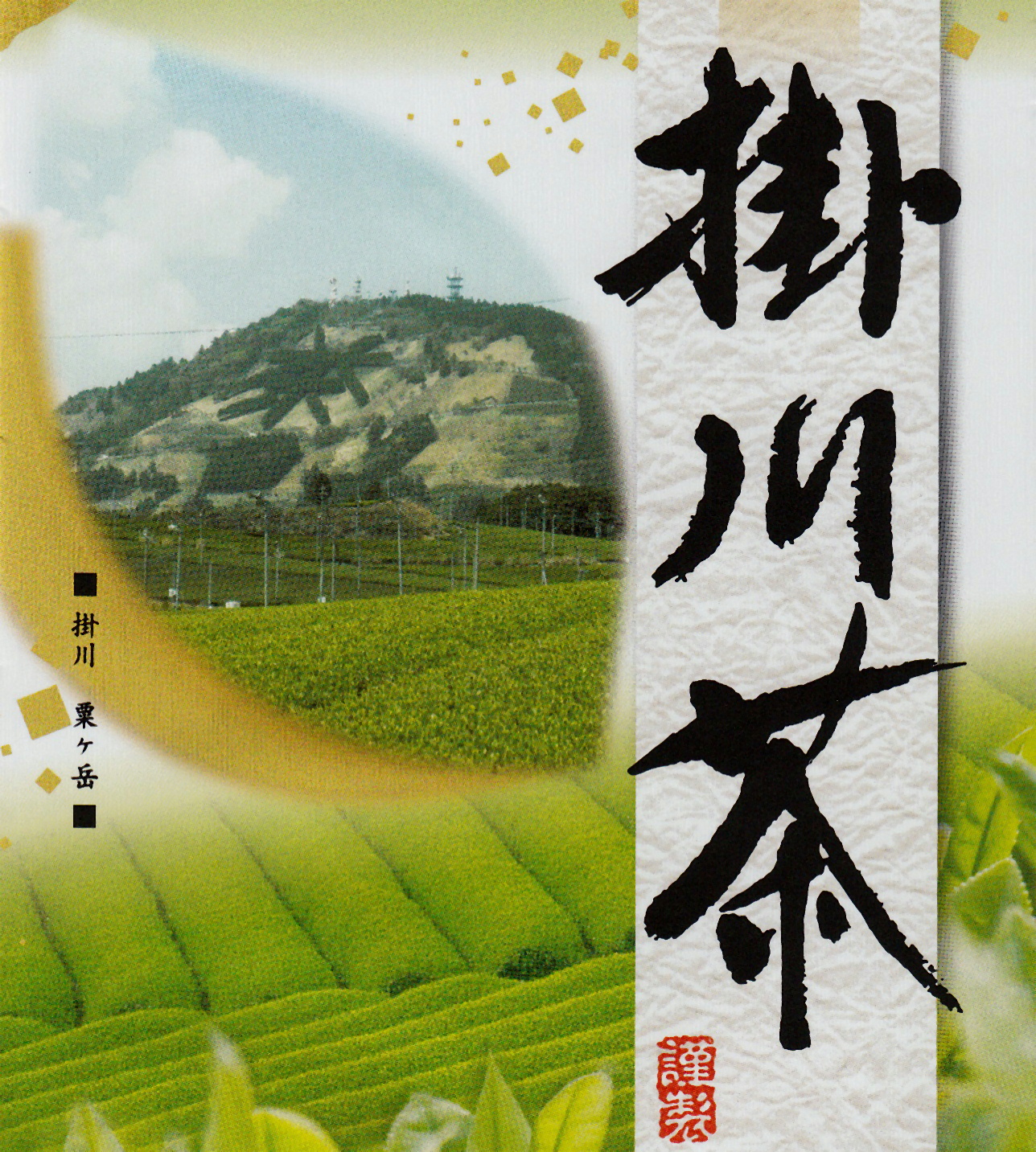 長寿の茶郷 深蒸し 「掛川茶」