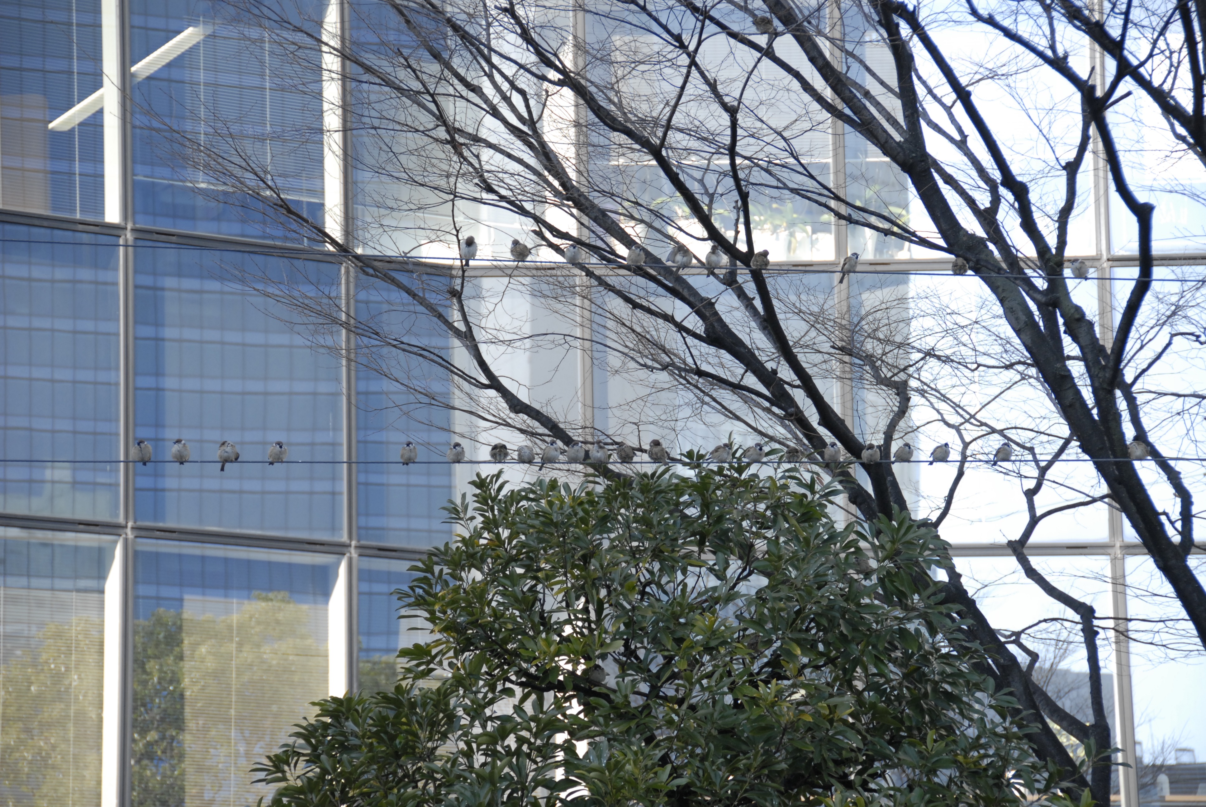 stand.fm 更新しました。