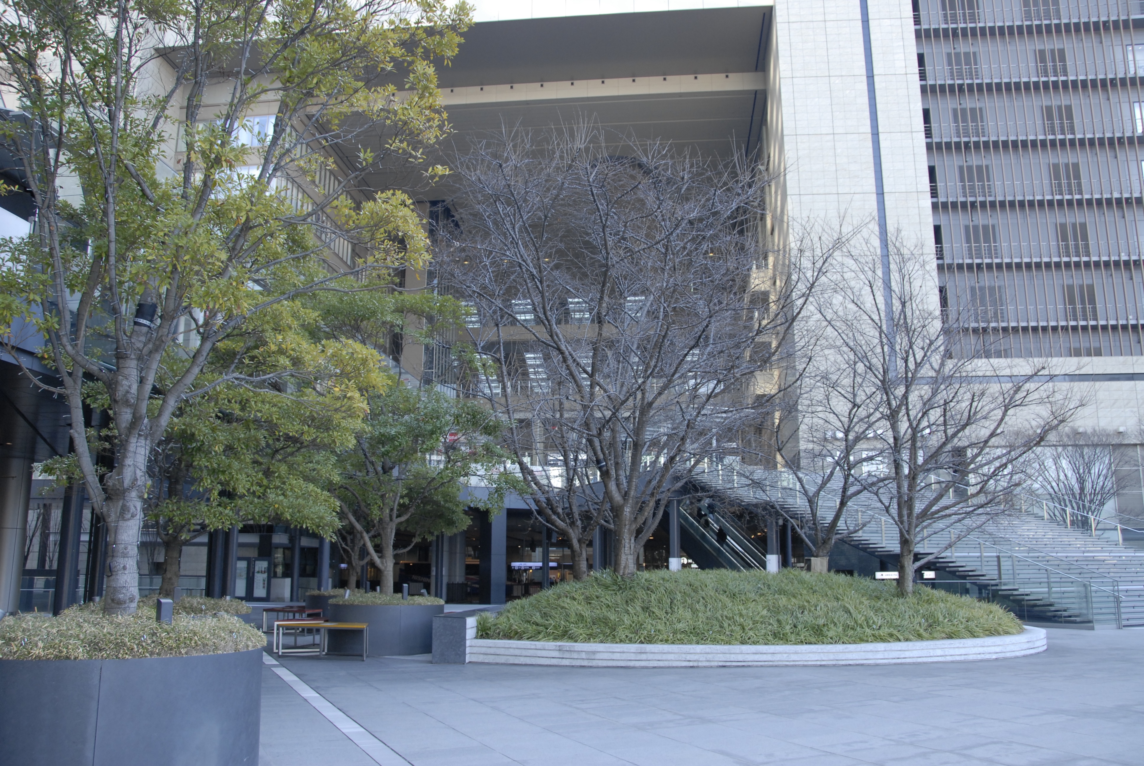 stand.fm 更新しました。