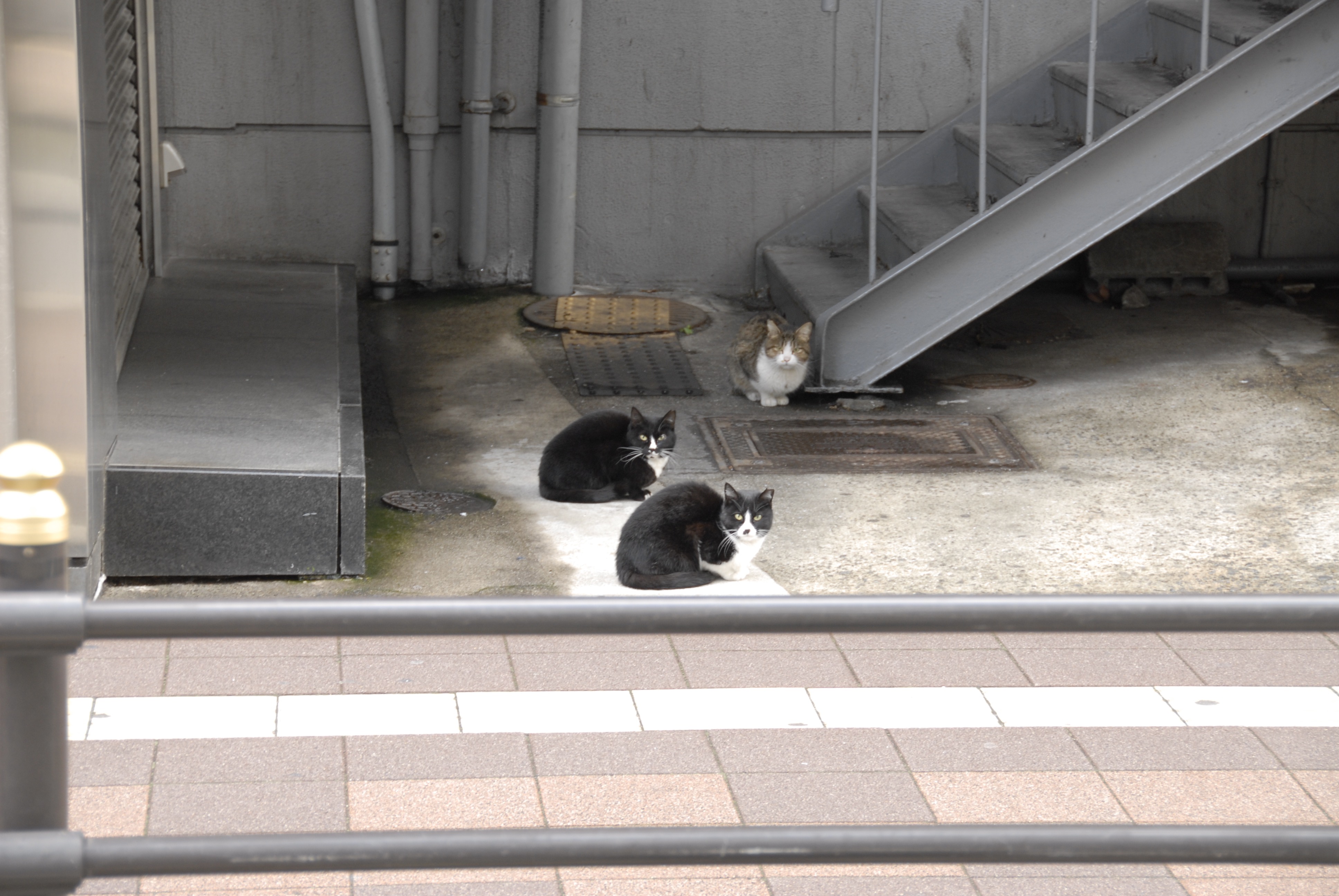 stand.fm 更新しました。