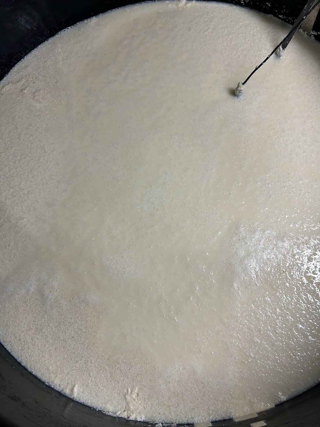 2025 長良泉 秋仕込み 12月初旬発売予定